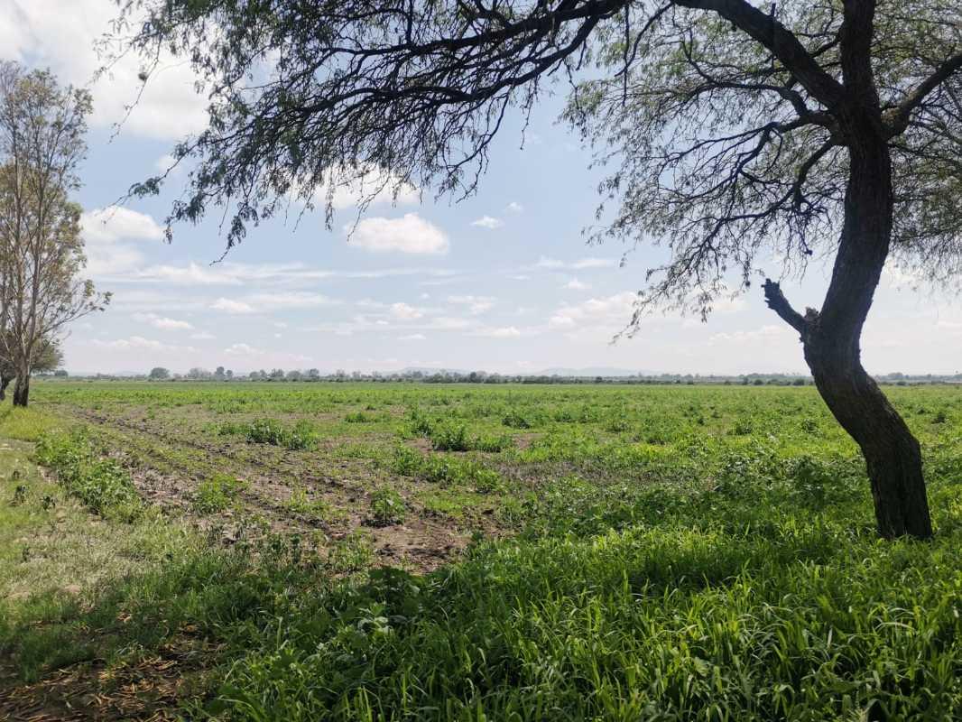 carretera 432, Pedro Escobedo, Querétaro, 76709, Mexico, 1 Bedroom Bedrooms, ,Residential,For Sale,carretera 432,1441822
