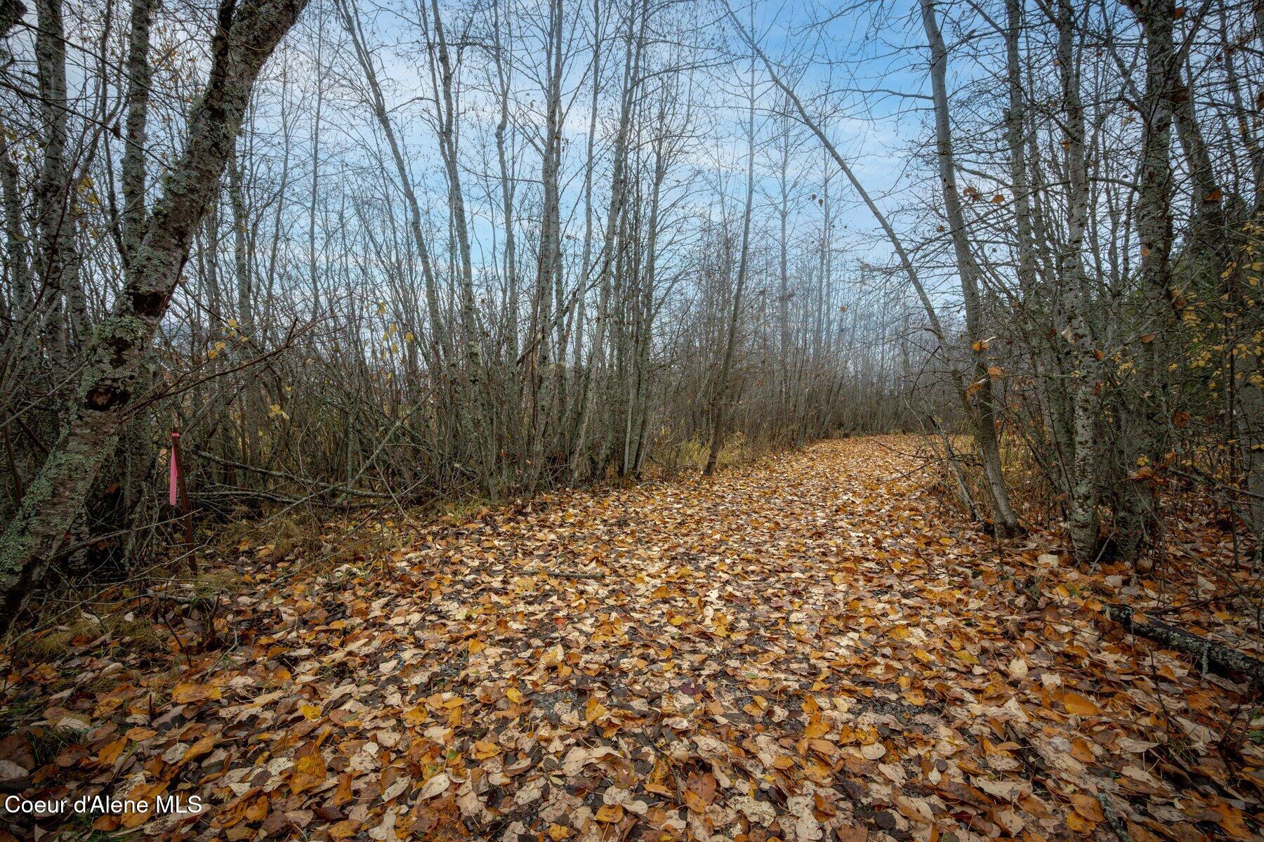 Dover, Idaho, 83825, United States, ,Residential,For Sale,1995847