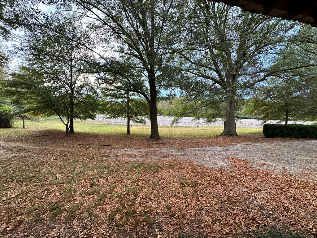26 Cr 313, OXFORD, Mississippi, 38655, United States, 4 Bedrooms Bedrooms, ,3 BathroomsBathrooms,Residential,For Sale,26 Cr 313,1640697