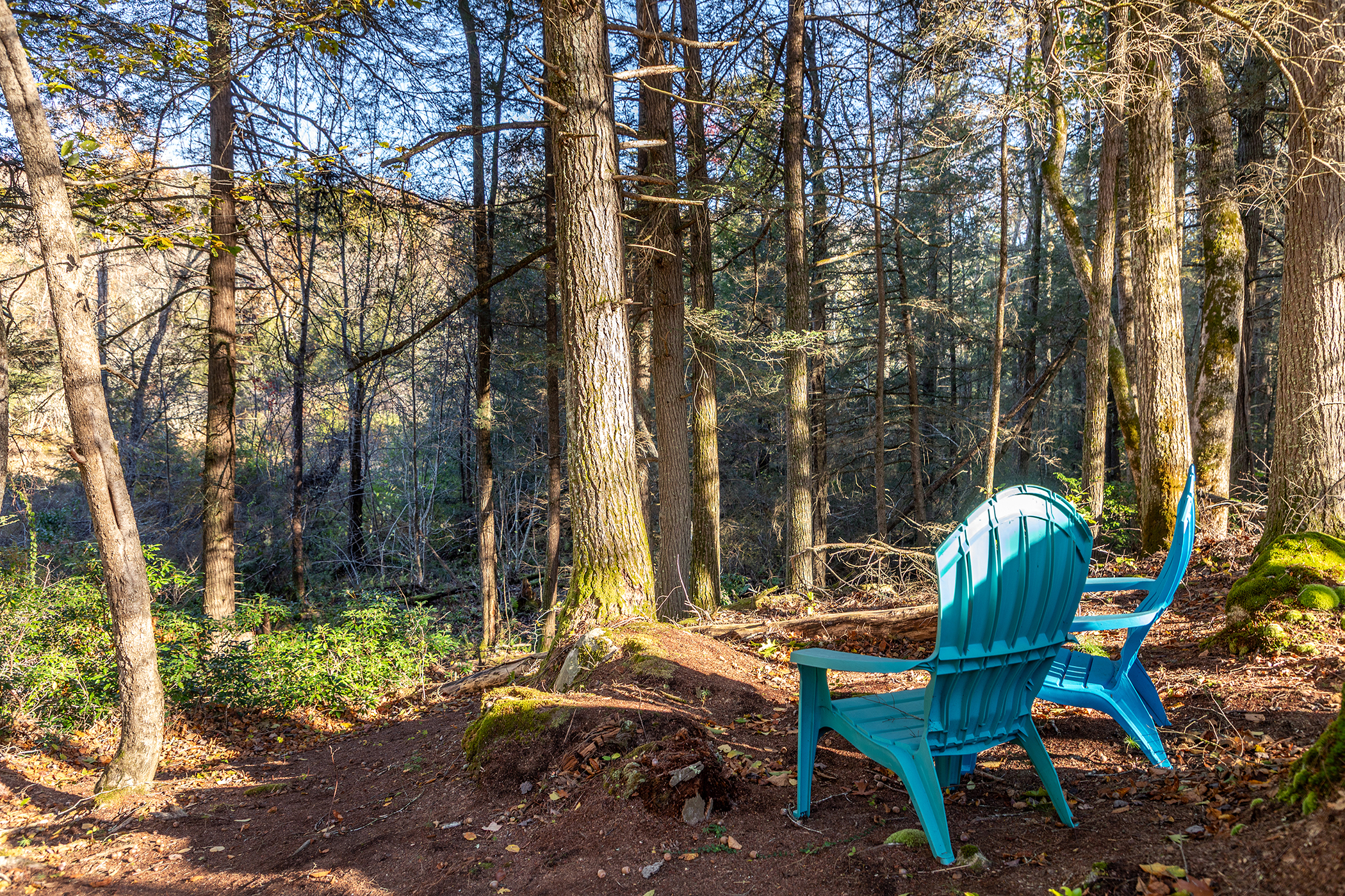  6 Kubish Road - 物件實景