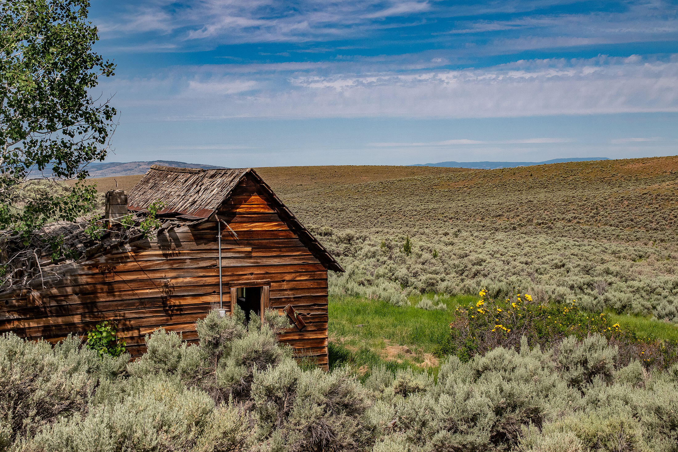 Tl 3700 Suplee Highway, Paulina, Oregon, 97751, United States, ,Land,For Sale,Tl 3700 Suplee Highway,1511106