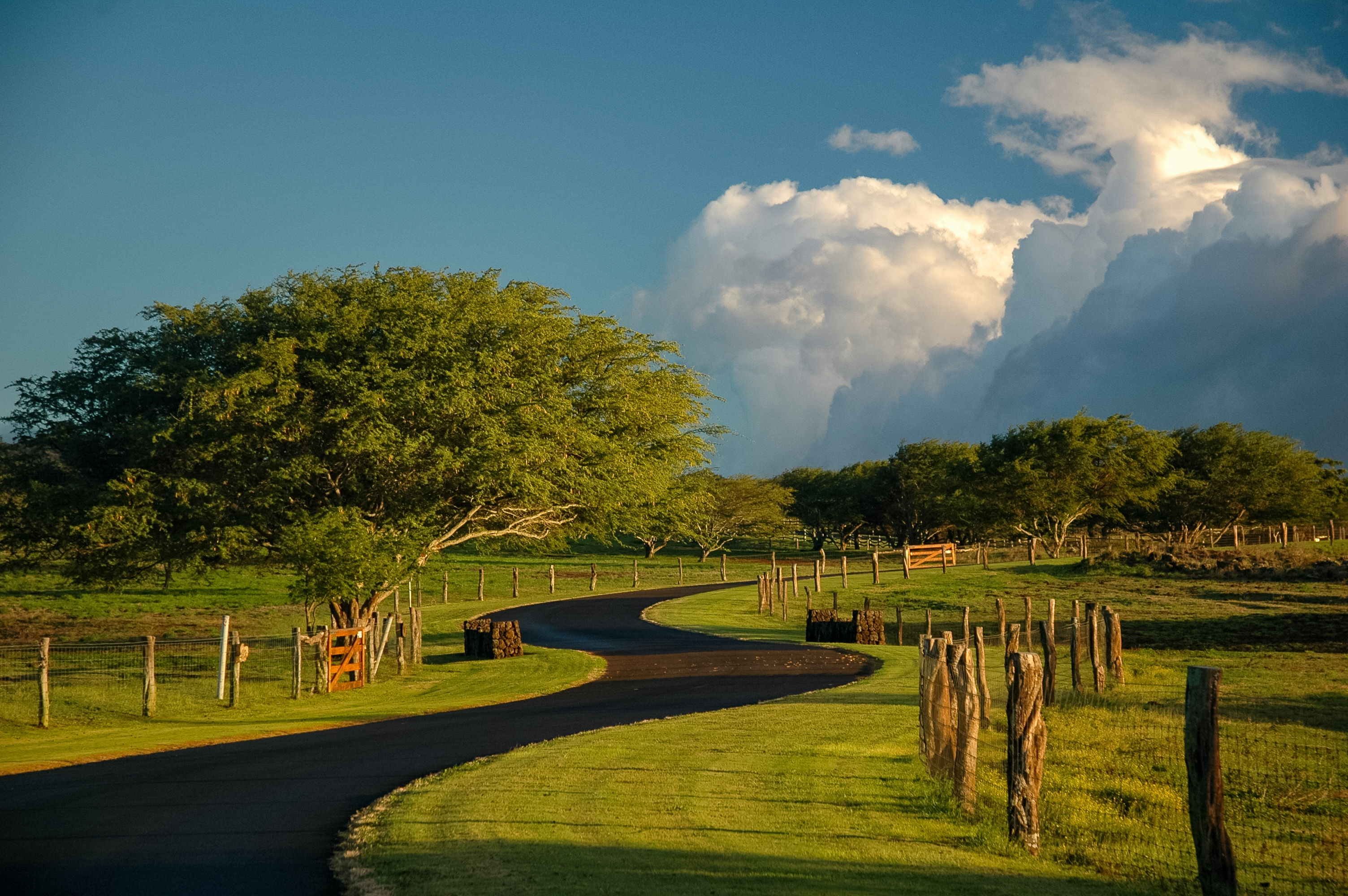 Hawi, Hawaii, 96719, United States, ,Land,For Sale,1758944