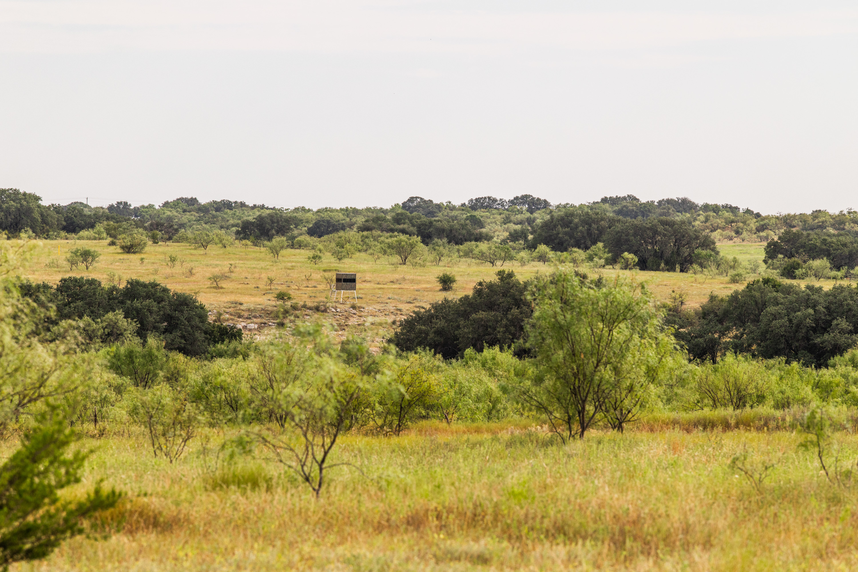  Mullin Game Ranch - 物件實景