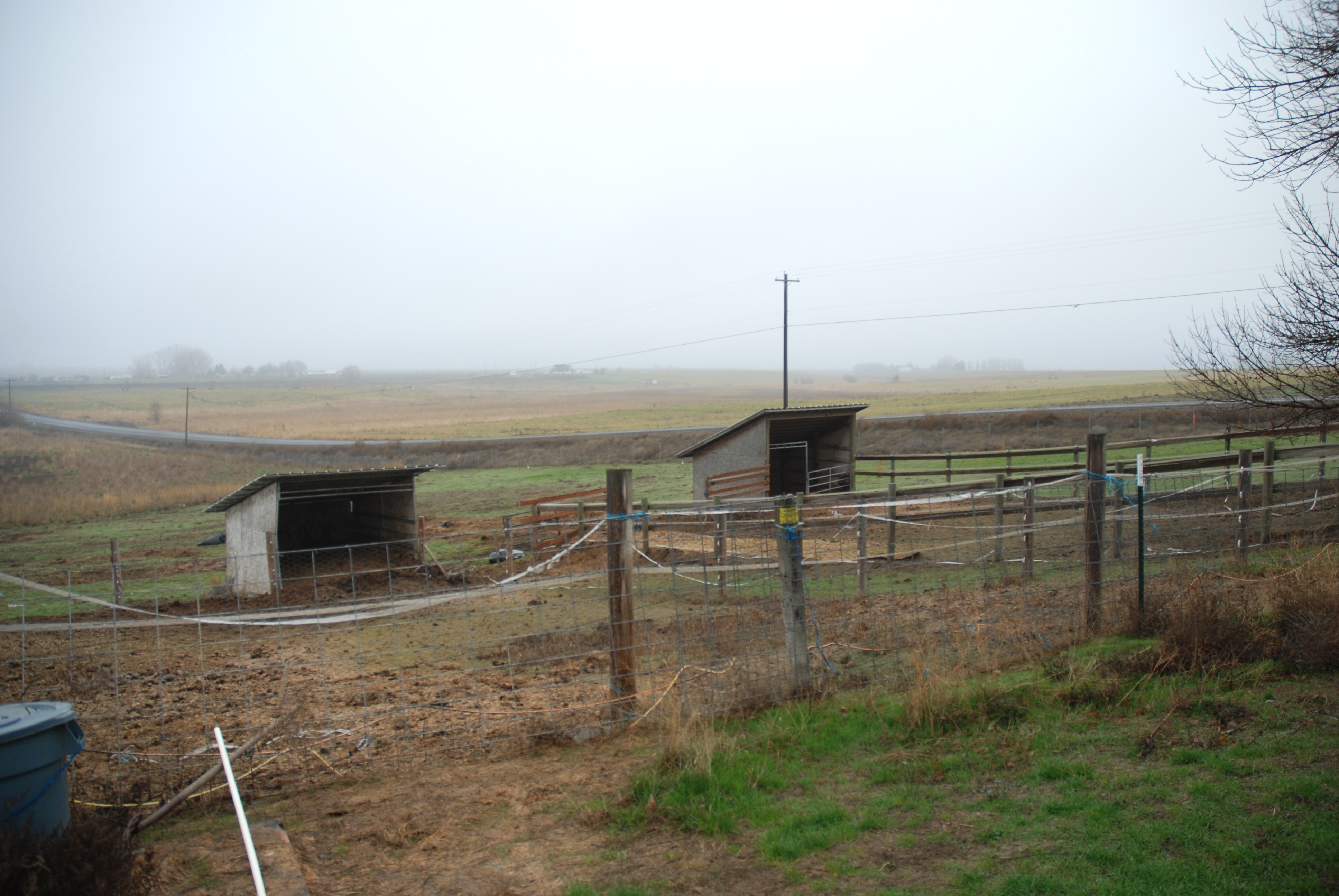 Warden, Washington, 98857, United States, 4 Bedrooms Bedrooms, ,1 BathroomBathrooms,Residential,For Sale,2006383