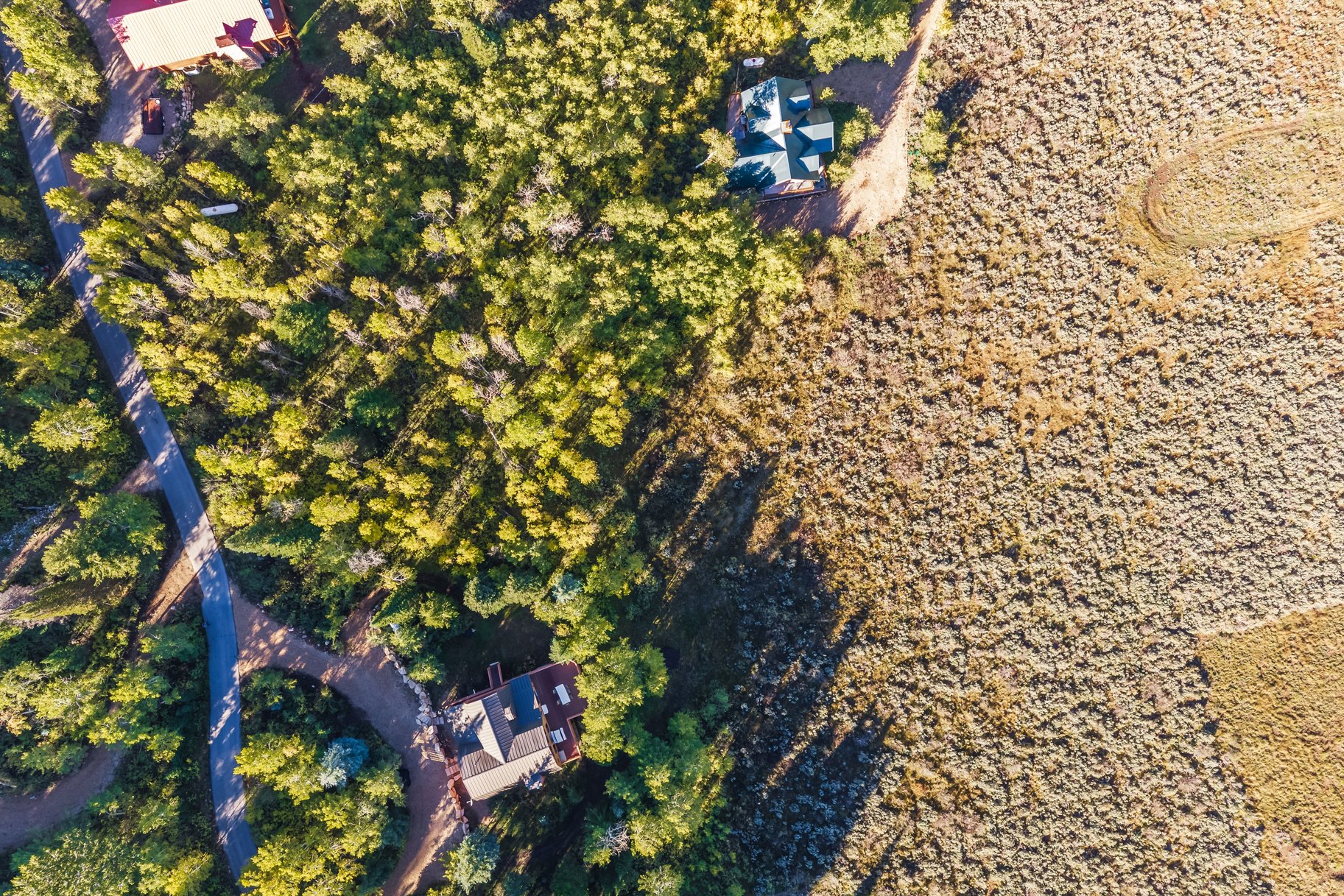  1.32-Acre Wooded Retreat in Gated Pine Mountain Near Oakley - 物件實景