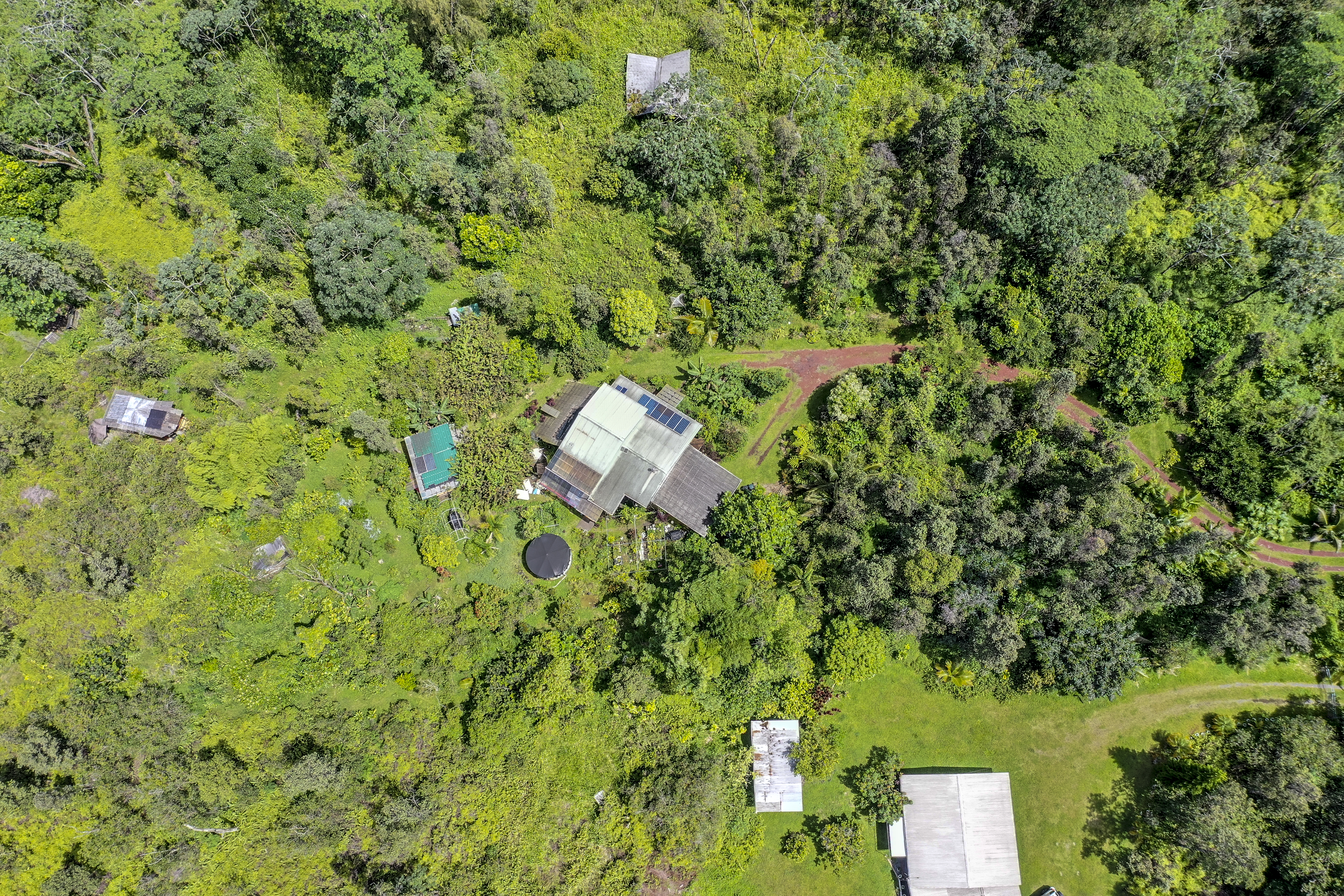  16-1517 Poouli Rd, Kurtistown, HI, 96760 - 物件實景