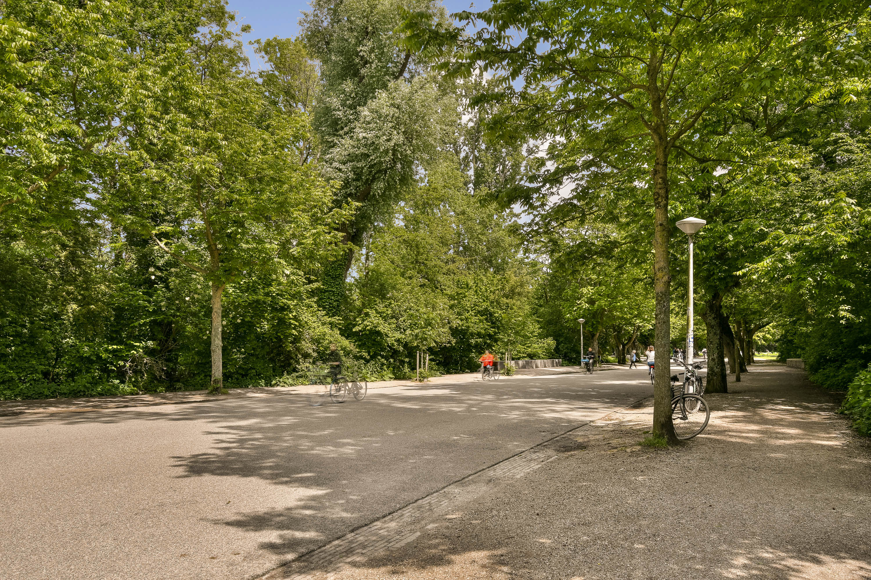  The Vondelpark Garden Apartment - 物件實景