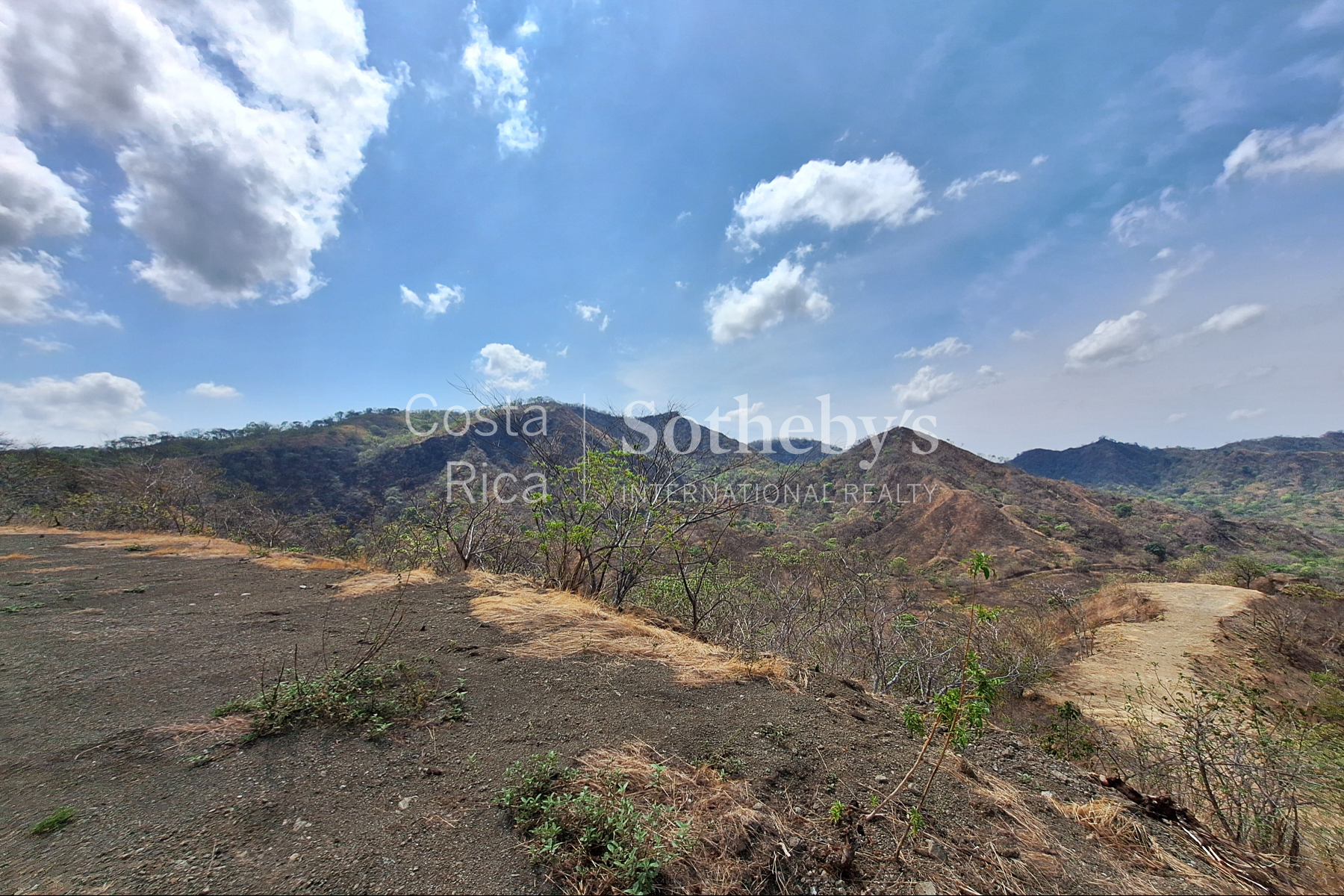  100ha+ development property behind Flamingo - 物件實景
