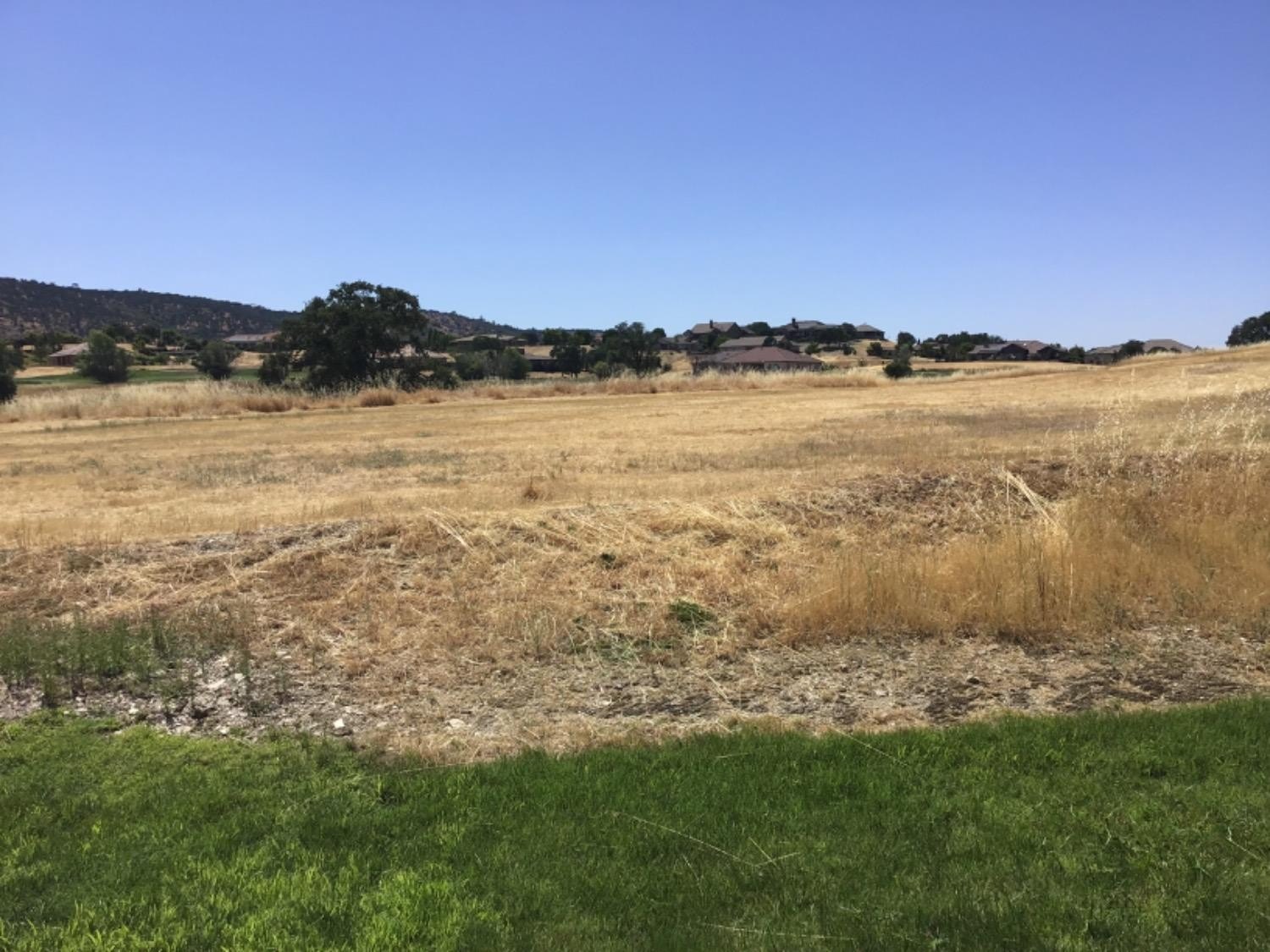 205 Quail Meadow Lane, Copperopolis, California, 95228, United States, 3 Bedrooms Bedrooms, ,3 BathroomsBathrooms,Residential,For Sale,205 Quail Meadow Lane,1664769