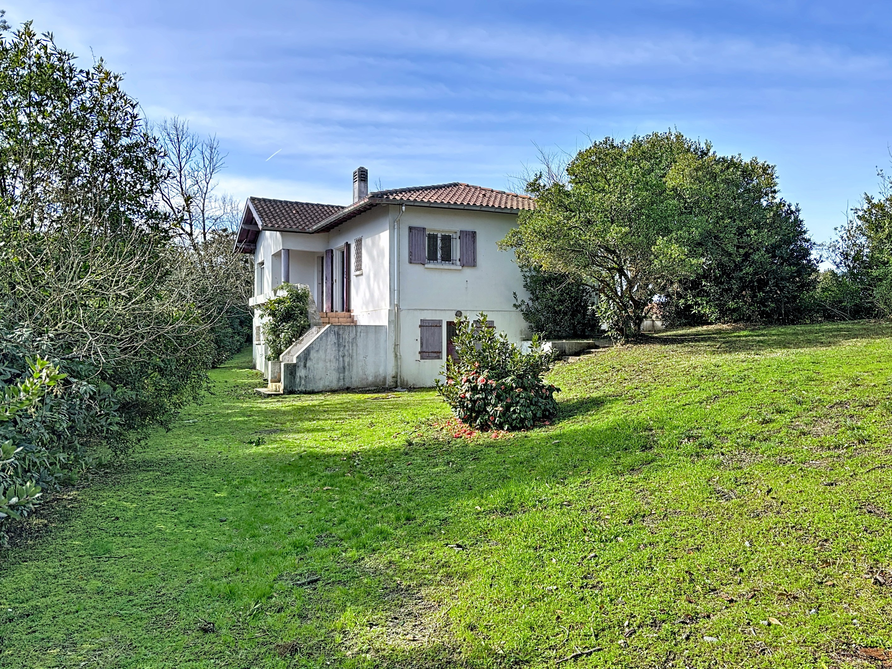  Amazing property close to the beach - 物件實景