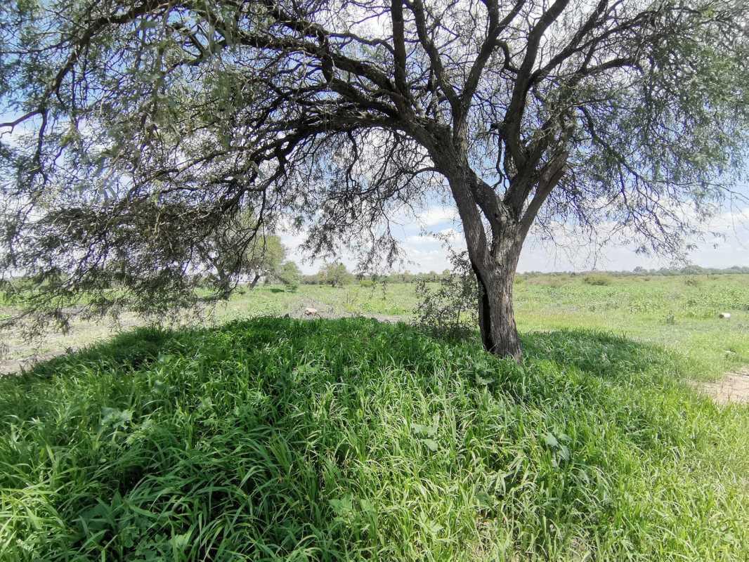 carretera 432, Pedro Escobedo, Querétaro, 76709, Mexico, 1 Bedroom Bedrooms, ,Residential,For Sale,carretera 432,1441822