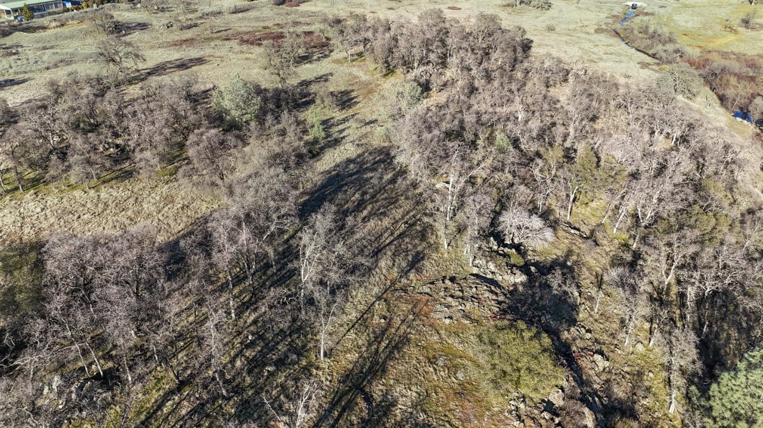 Cool, California, 95614, United States, ,Land,For Sale,1994251