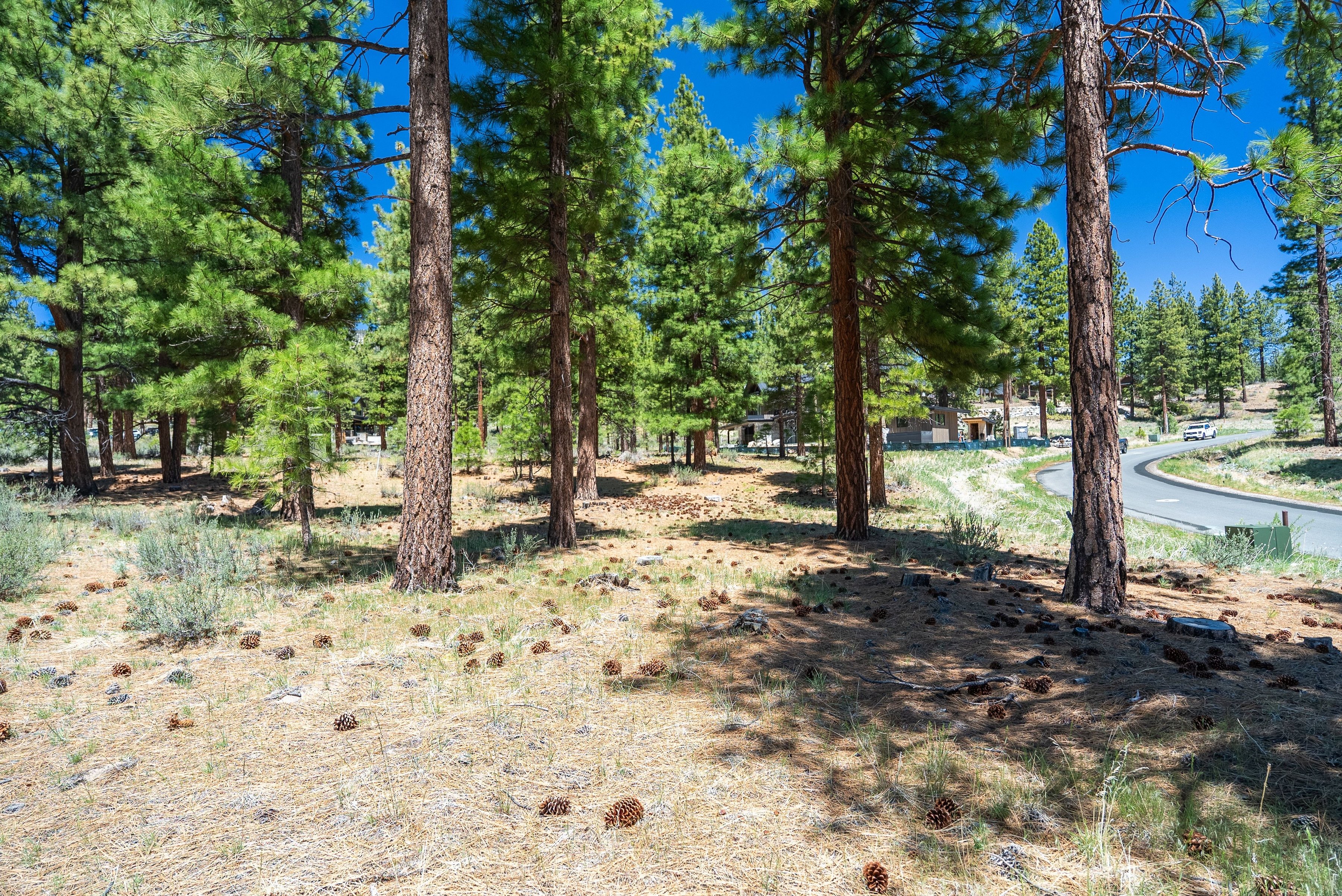  Two Extraordinary Pieces of Land in Clear Creek Tahoe - 物件實景