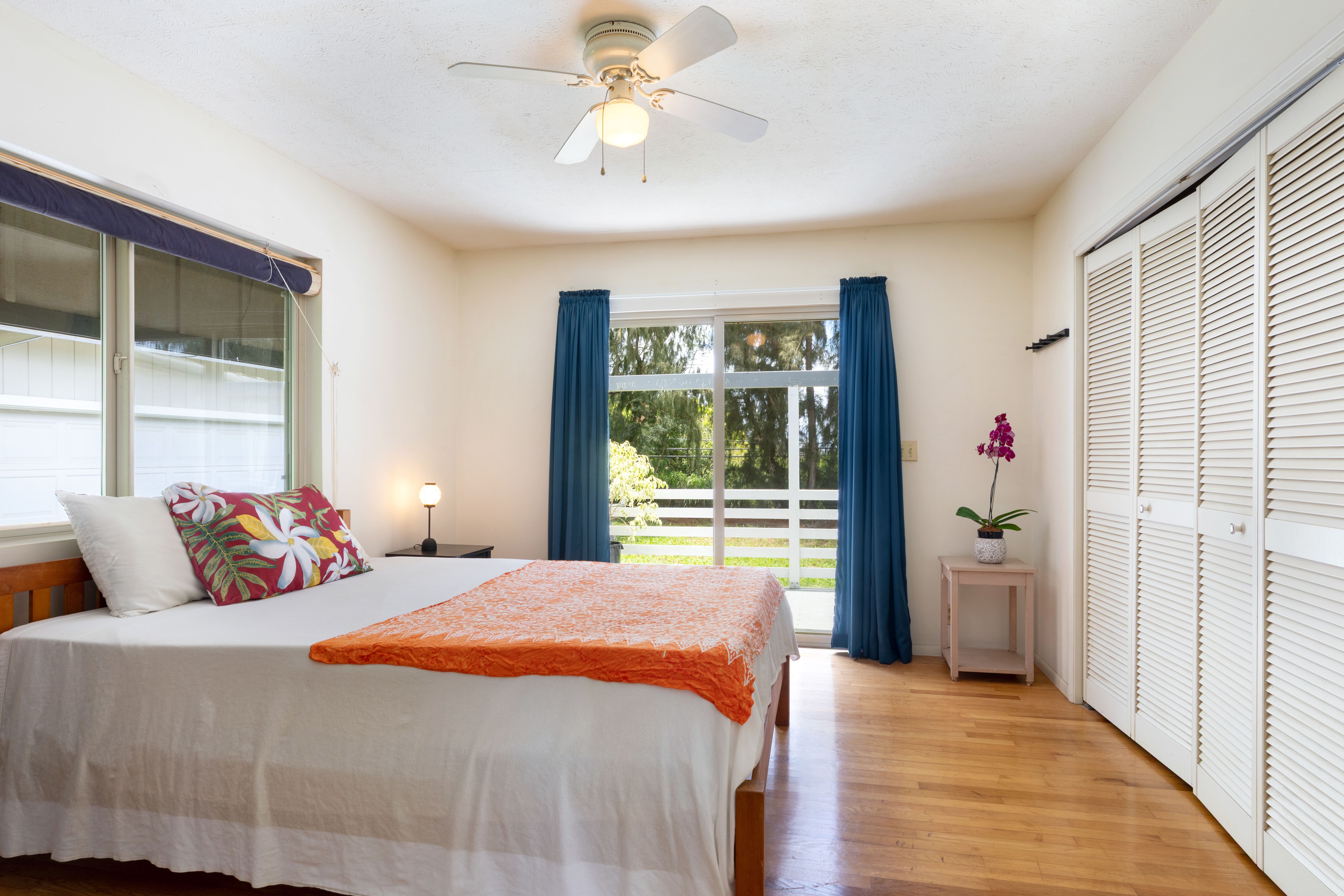  55-508 Ilina Rd, Hawi, HI, 96719 - 物件實景