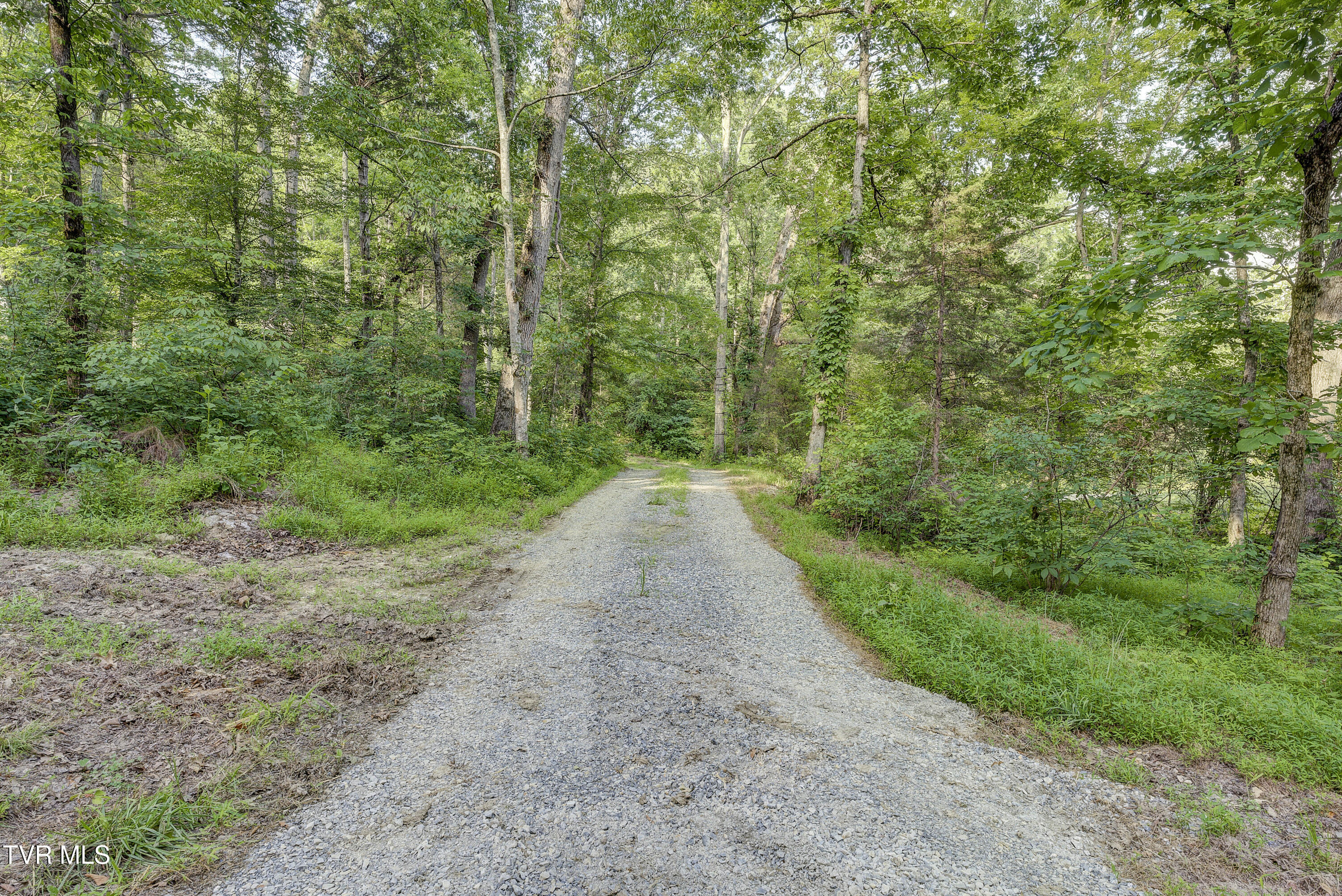 Piney Flats, Tennessee, 37686, United States, ,Land,For Sale,1983828