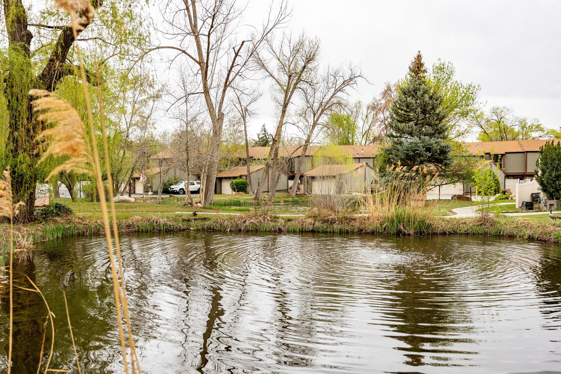  Quiet Sanctuary Community Top Floor Condo at The Willows in Murray - 物件實景