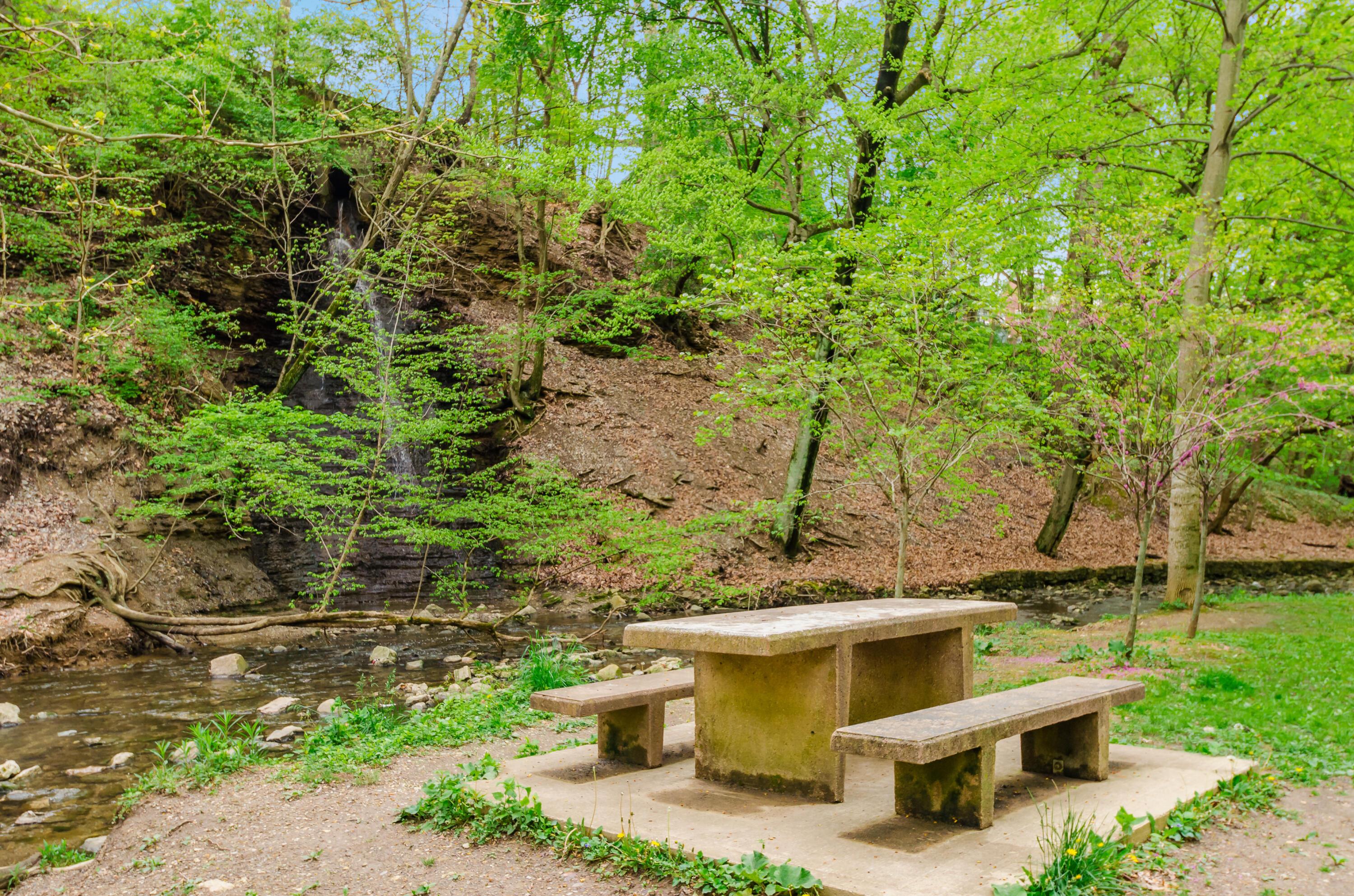 Columbus, Ohio, 43202, United States, 5 Bedrooms Bedrooms, ,4 BathroomsBathrooms,Residential,For Sale,1988321