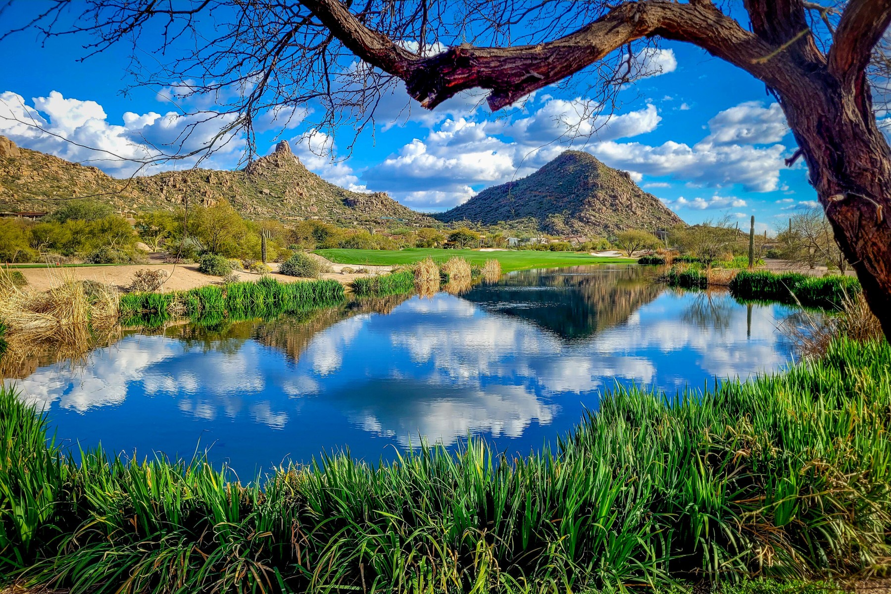  27777 N 95th Street  Scottsdale, AZ - 物件實景