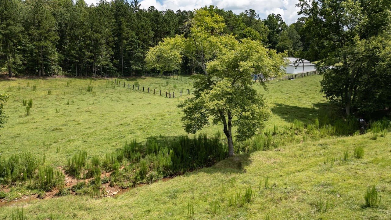 Heflin, Alabama, 36264, United States, ,Land,For Sale,1981342