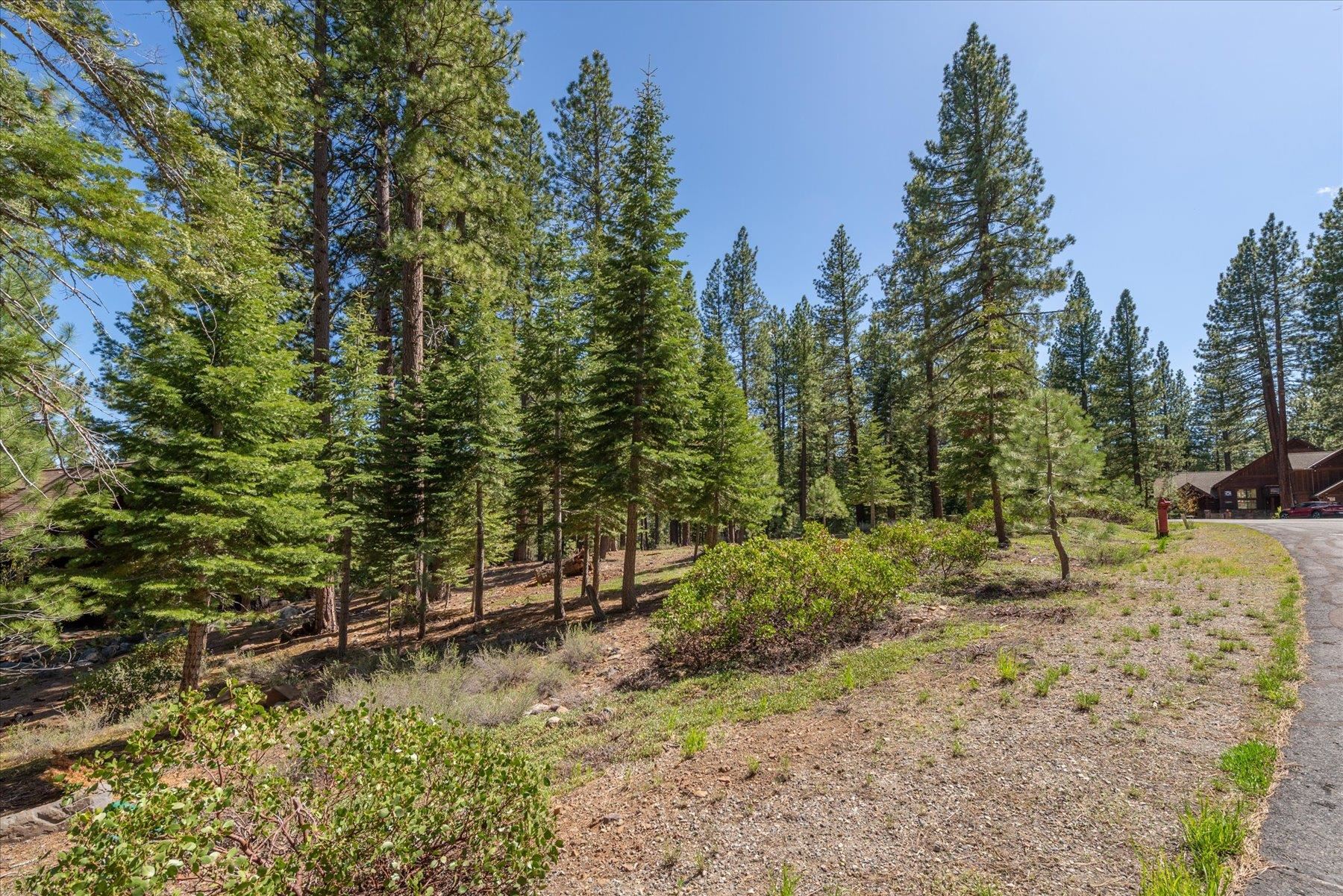 Truckee, California, 96161, United States, ,Land,For Sale,1828145