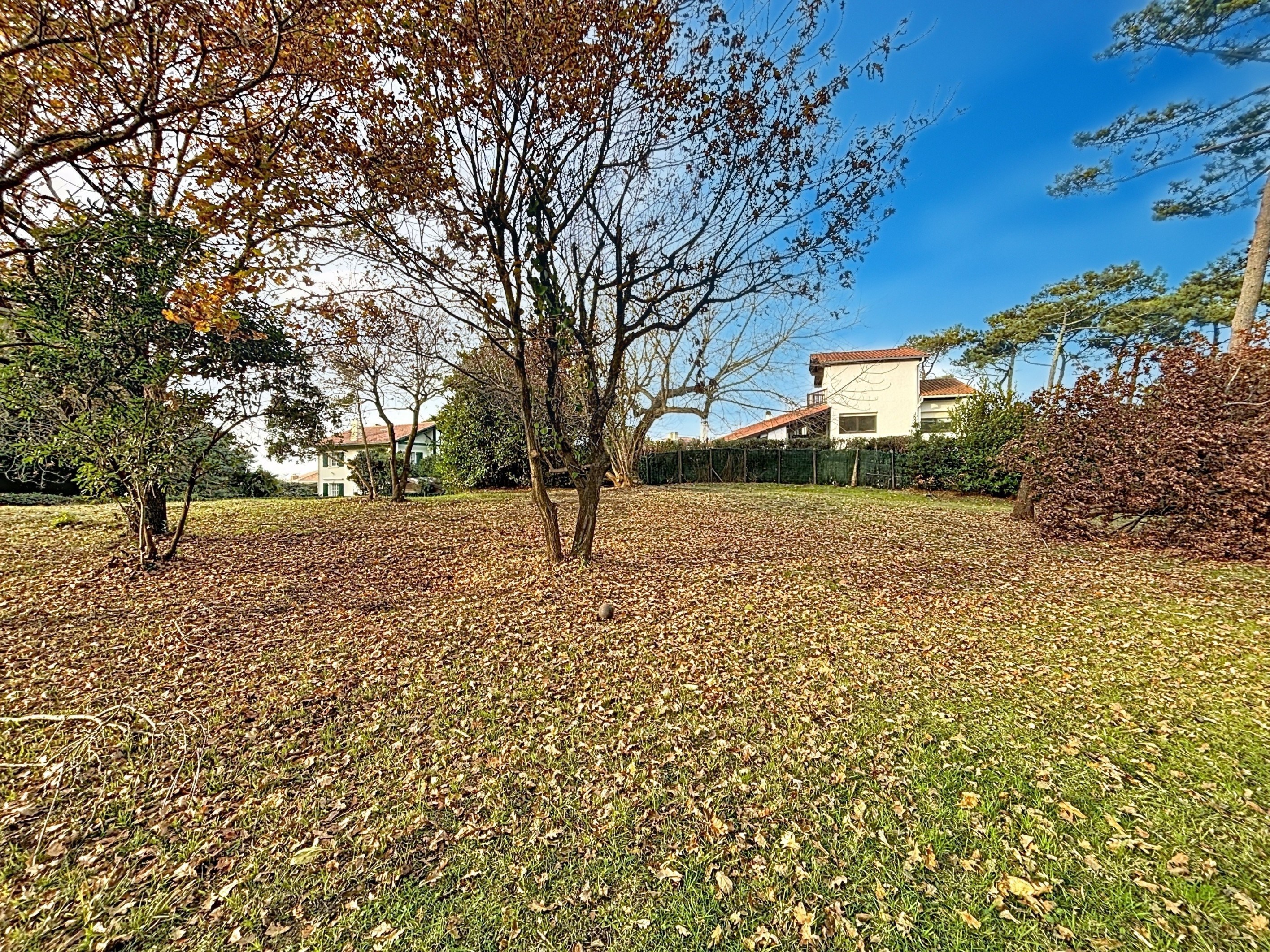  Amazing property close to the beach - 物件實景