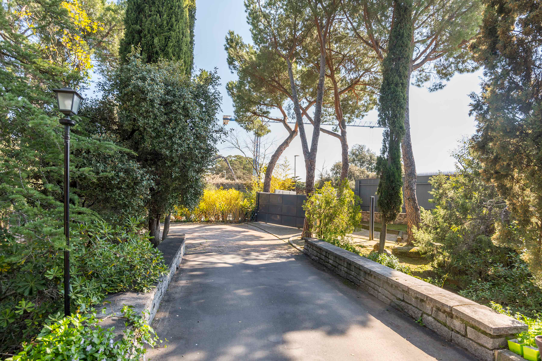  Wonderful hectare plot in La Moraleja - 物件實景