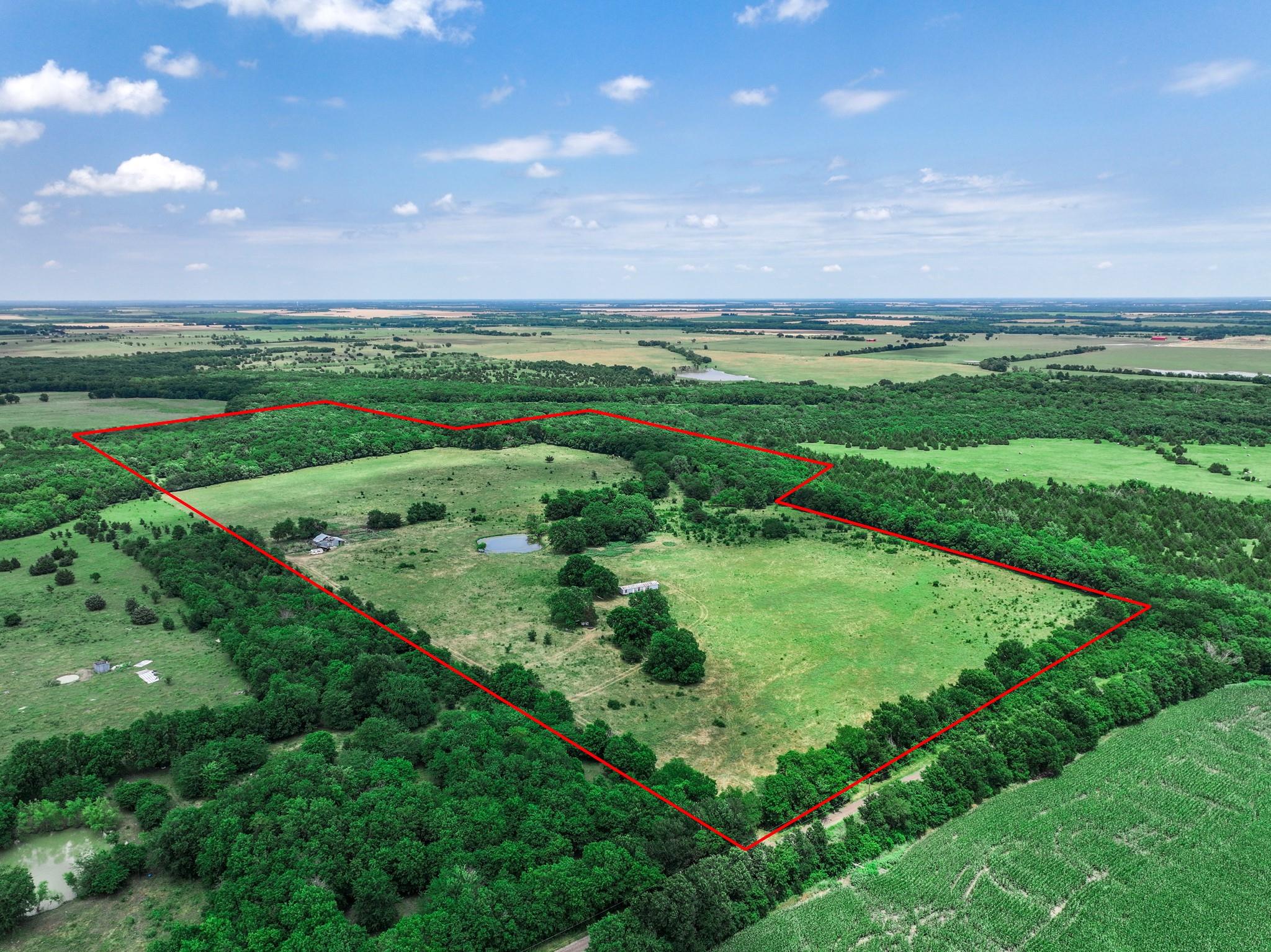 Commerce, Texas, 75428, United States, ,Land,For Sale,1980085