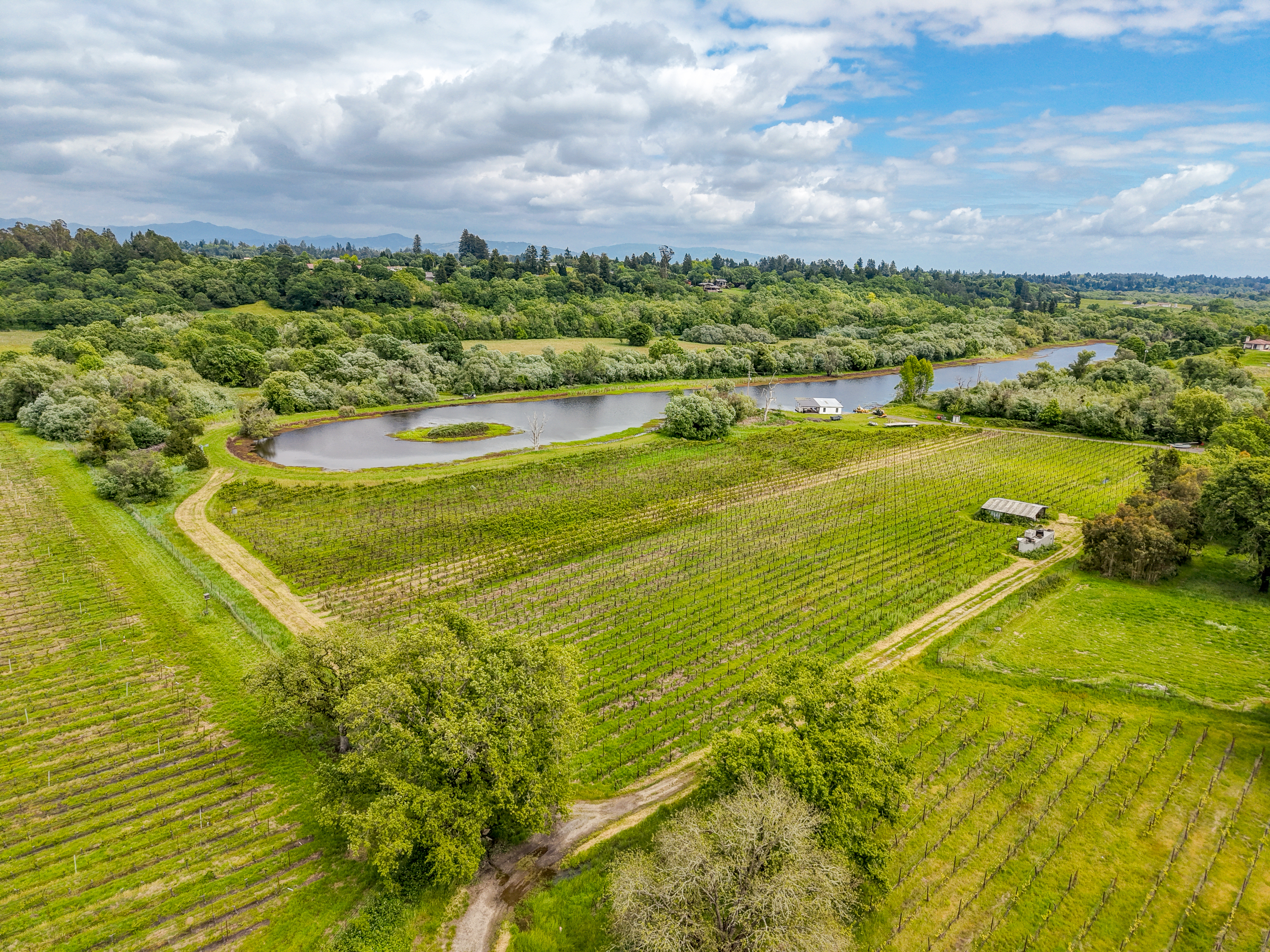  9700 Mill Station Road, Sebastopol, CA 95472 - 物件實景