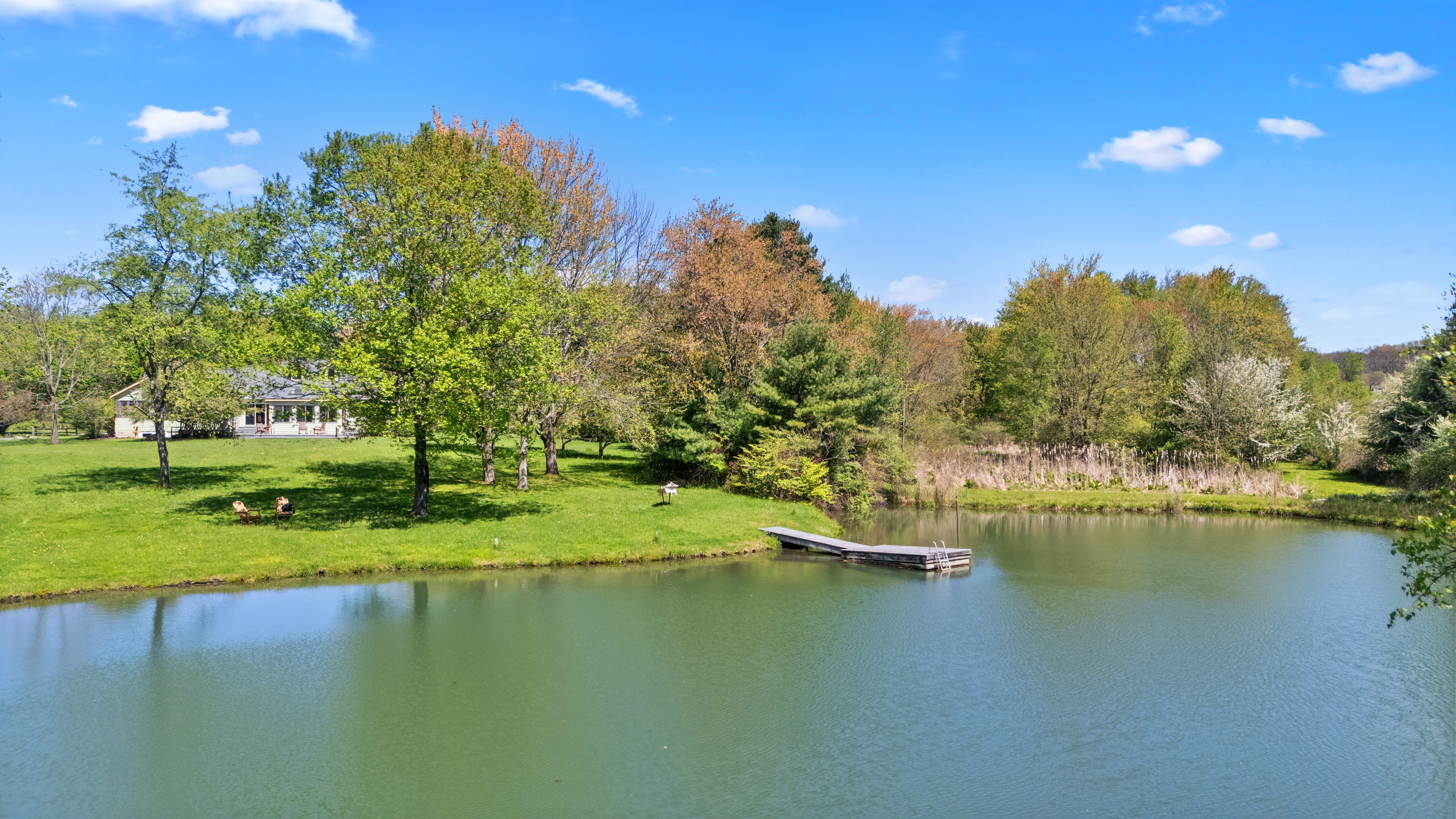  Modern Country Estate with Swim Pond near Chatham & Kinderhook - 物件實景
