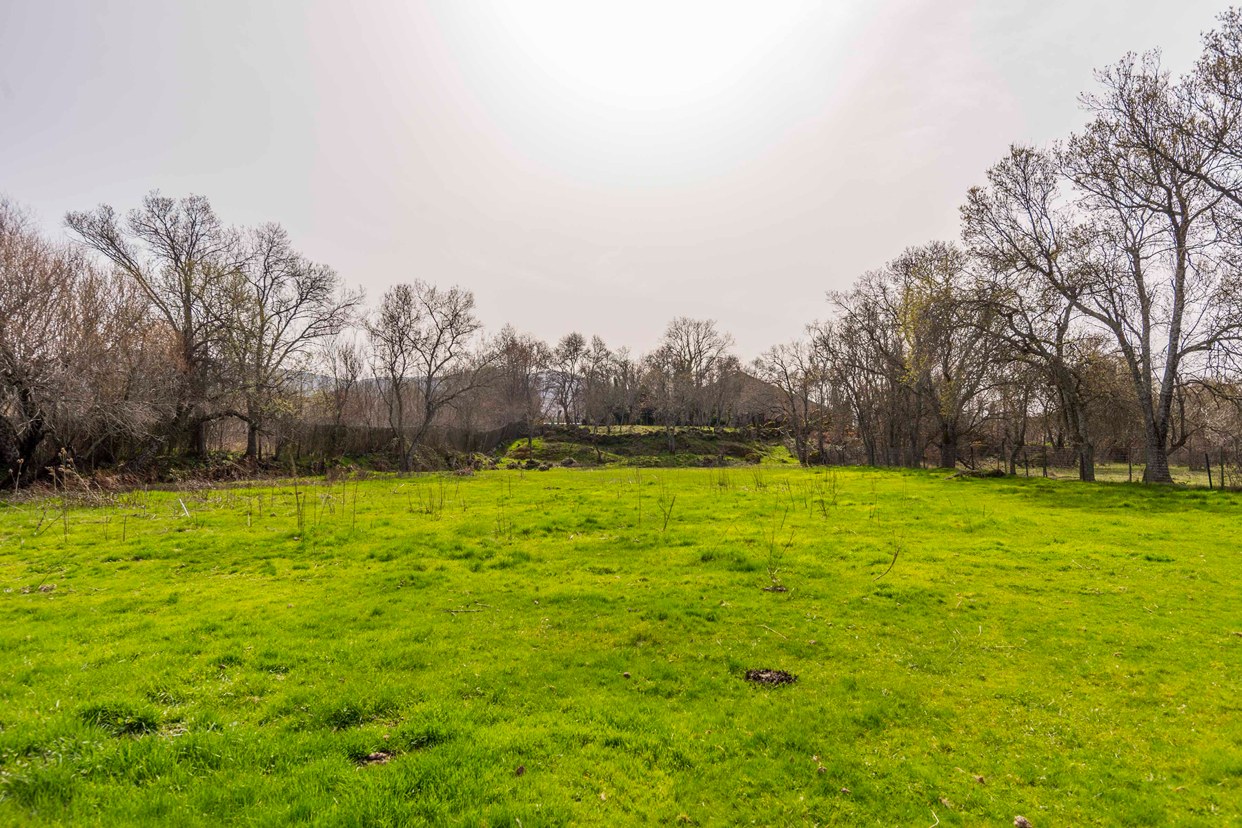  Spectacular estate for promotion in Sotosalbos, Segovia - 物件實景