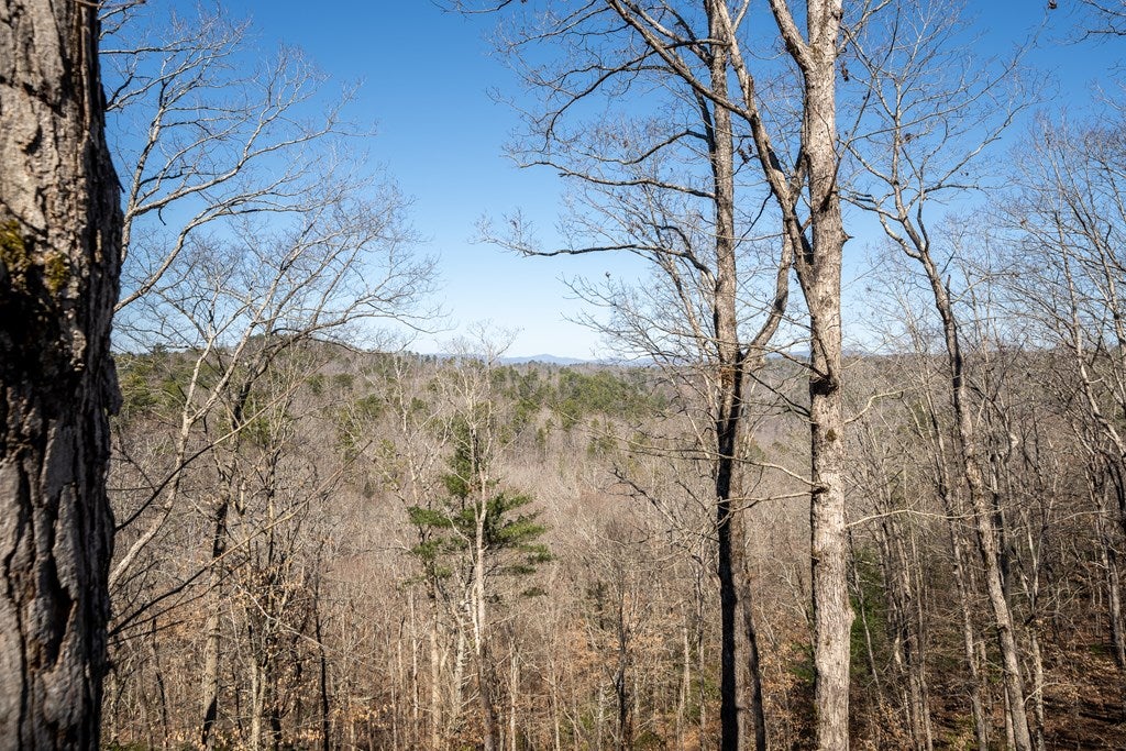 Ellijay, Georgia, 30540, United States, 4 Bedrooms Bedrooms, ,4 BathroomsBathrooms,Residential,For Sale,1858933