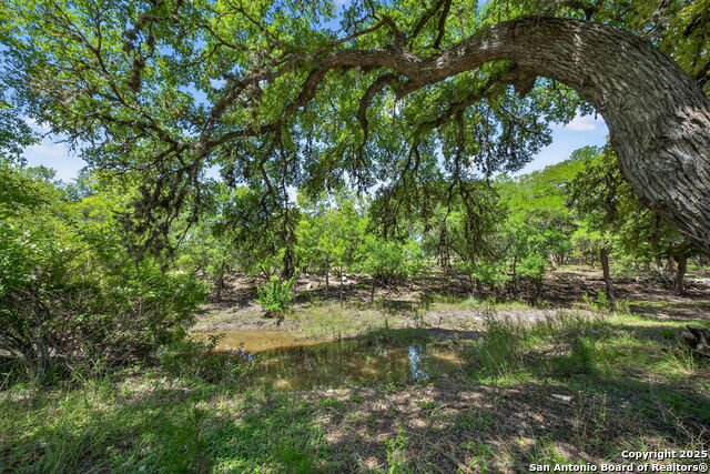Bandera, Texas, 78003, United States, 1 Bedroom Bedrooms, ,1 BathroomBathrooms,Residential,For Sale,1925741