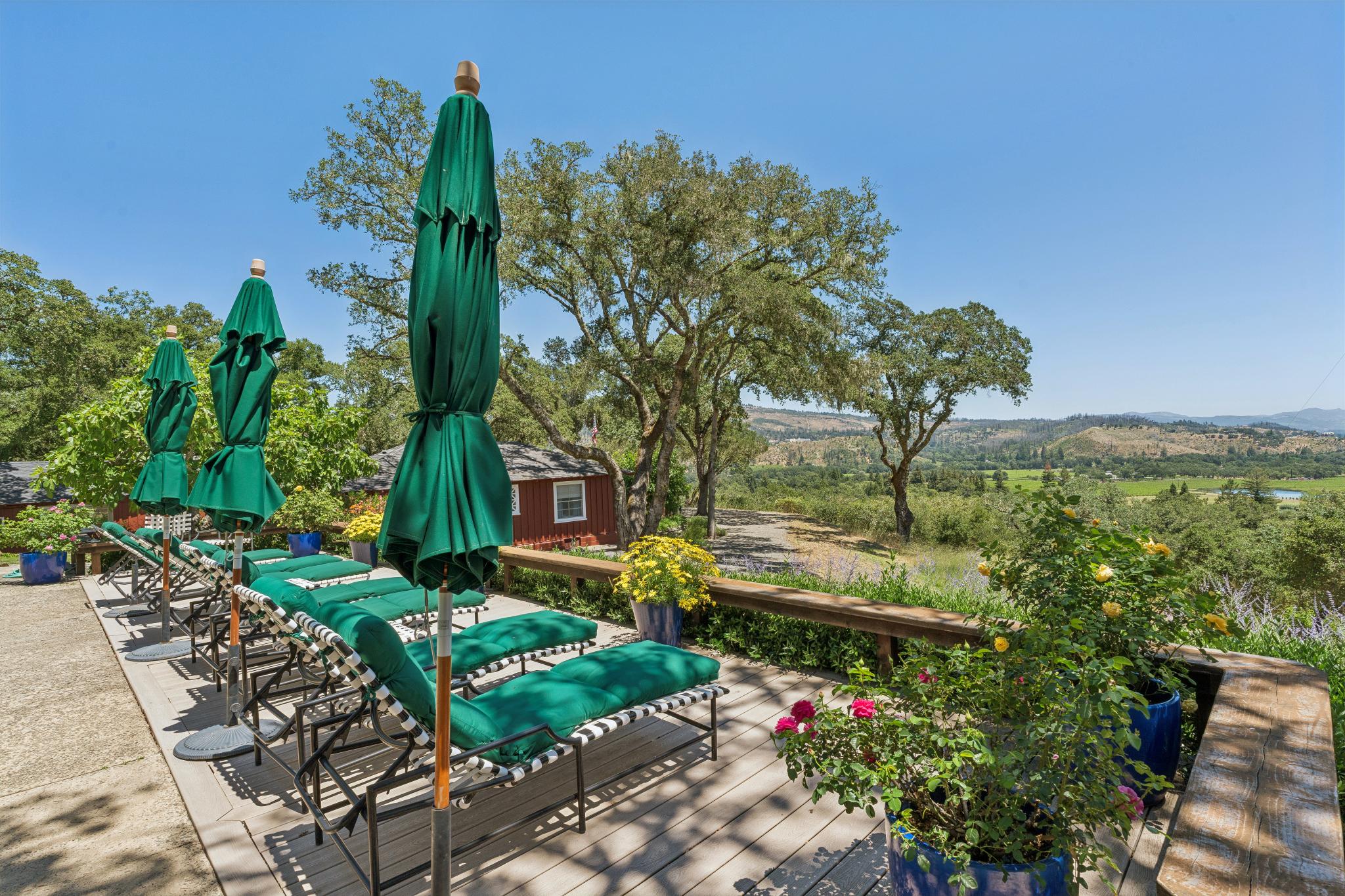  3393 St. Helena Hwy N. - 物件實景