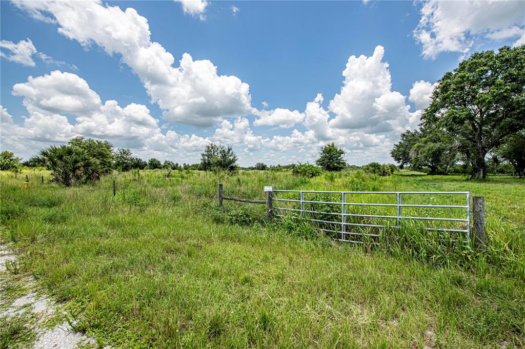 Arcadia, Florida, 34269, United States, ,Land,For Sale,1997252