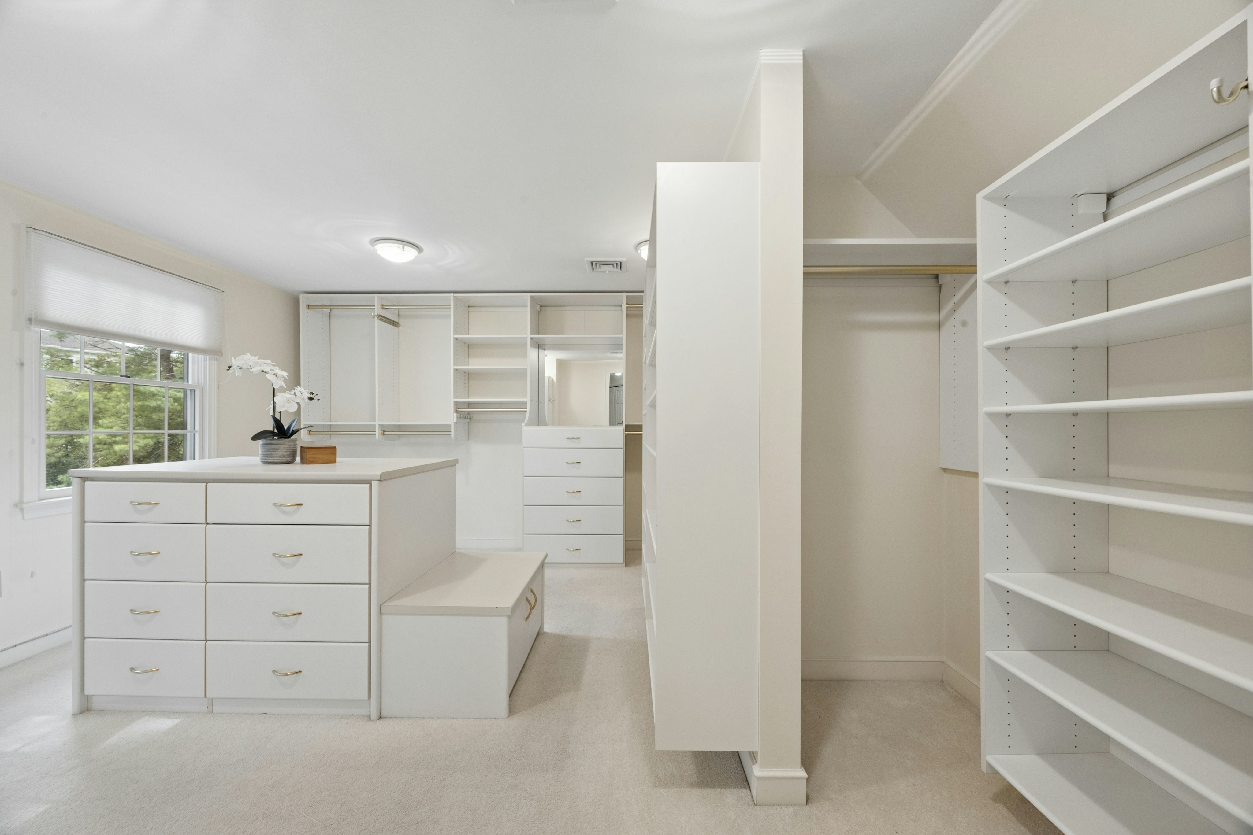  18 Lois Lane, Lexington, MA, 02420 - 物件實景