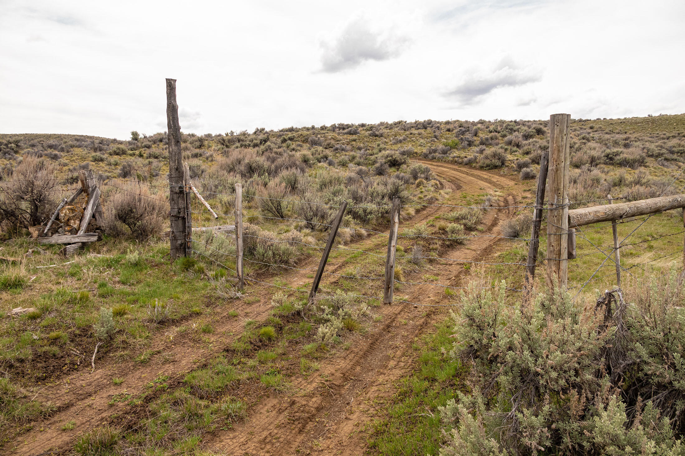 Tl 3700 Suplee Highway, Paulina, Oregon, 97751, United States, ,Land,For Sale,Tl 3700 Suplee Highway,1511106
