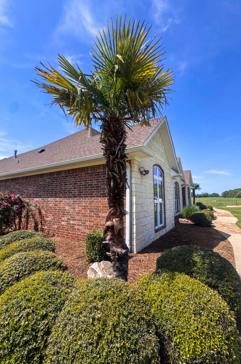 Bloomburg, Texas, 75556, United States, 4 Bedrooms Bedrooms, ,2 BathroomsBathrooms,Residential,For Sale,1789211