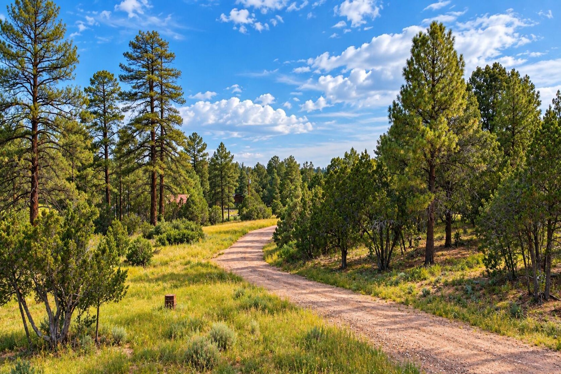  1895 Aspen Lane¦Heber, AZ - 物件實景
