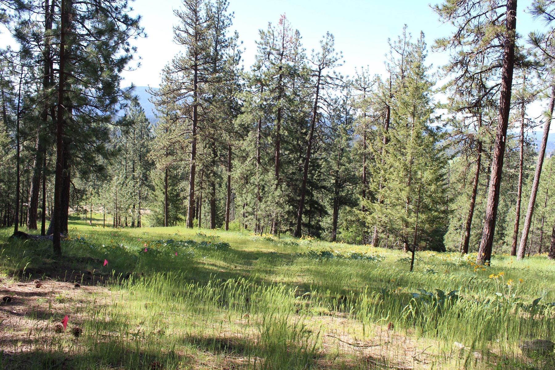  881 S Allen Rd and 2714 E Haven Dr Coeur d