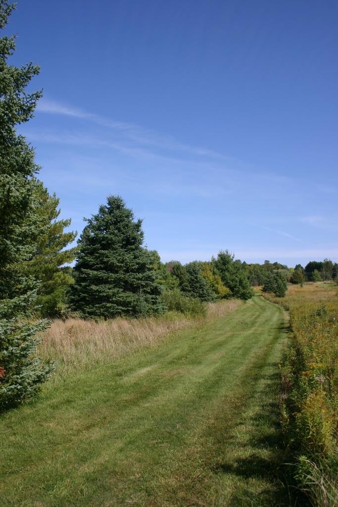 Butternut, Wisconsin, 54514, United States, ,Residential,For Sale,1921385