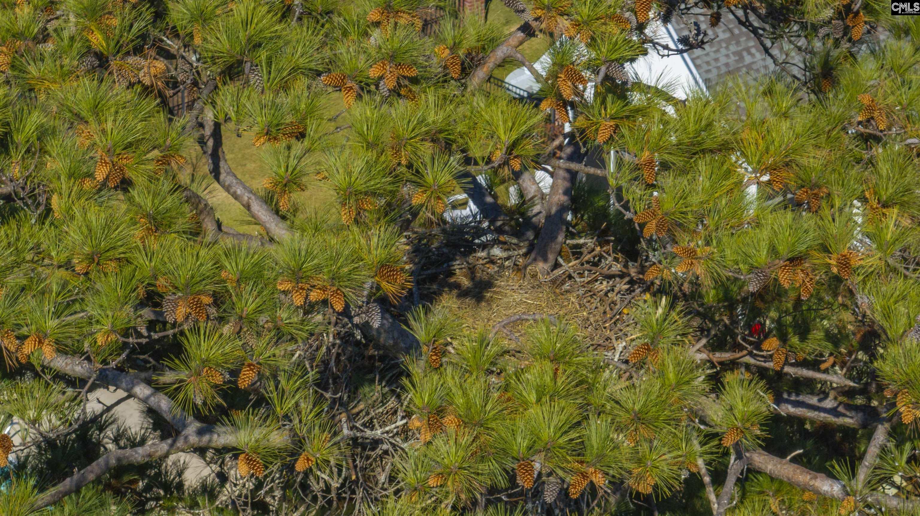 Chapin, South Carolina, 29036, United States, 4 Bedrooms Bedrooms, ,3 BathroomsBathrooms,Residential,For Sale,1989454