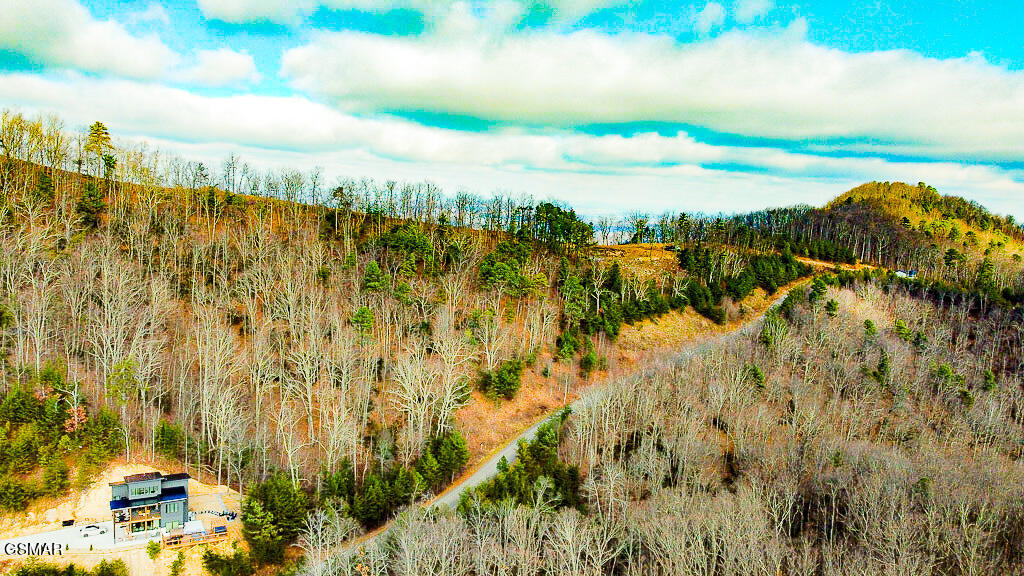 Sevierville, Tennessee, 37876, United States, ,Land,For Sale,2008093