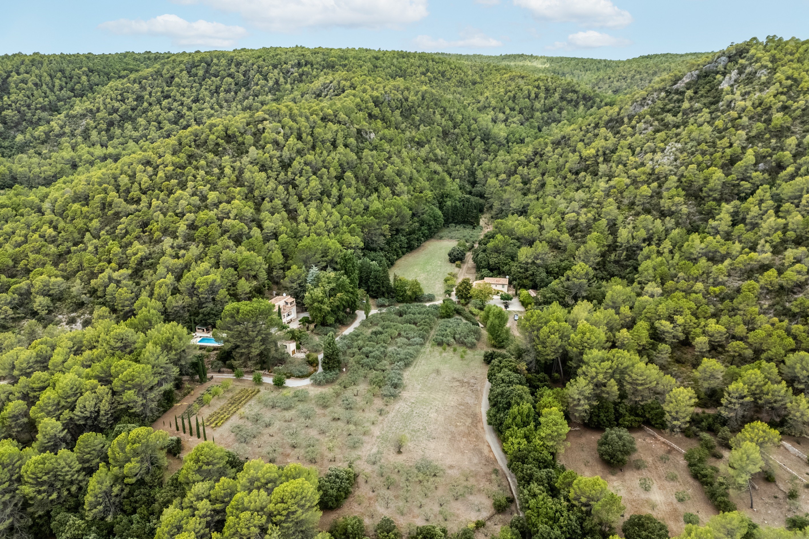  Prestigious Estate with Olive Grove - 物件實景