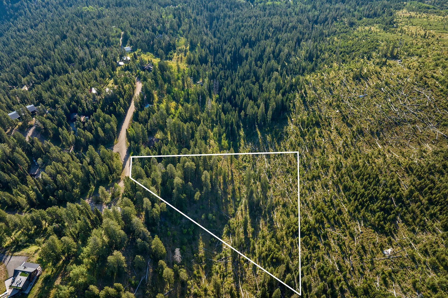  Wilson Acreage Bordering Bridger-Teton National Forest - 物件實景