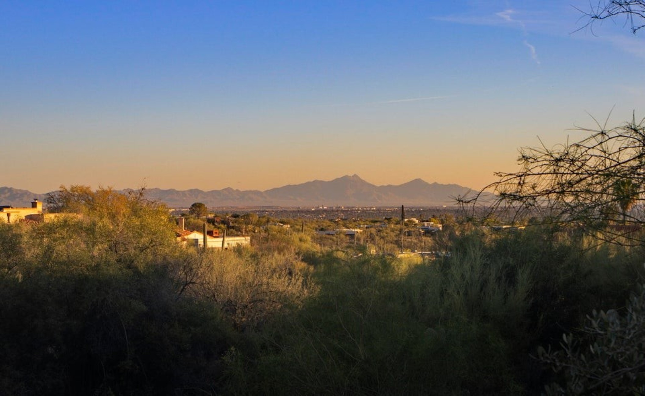 6250 N Campbell Avenue¦Tucson, AZ - 物件實景