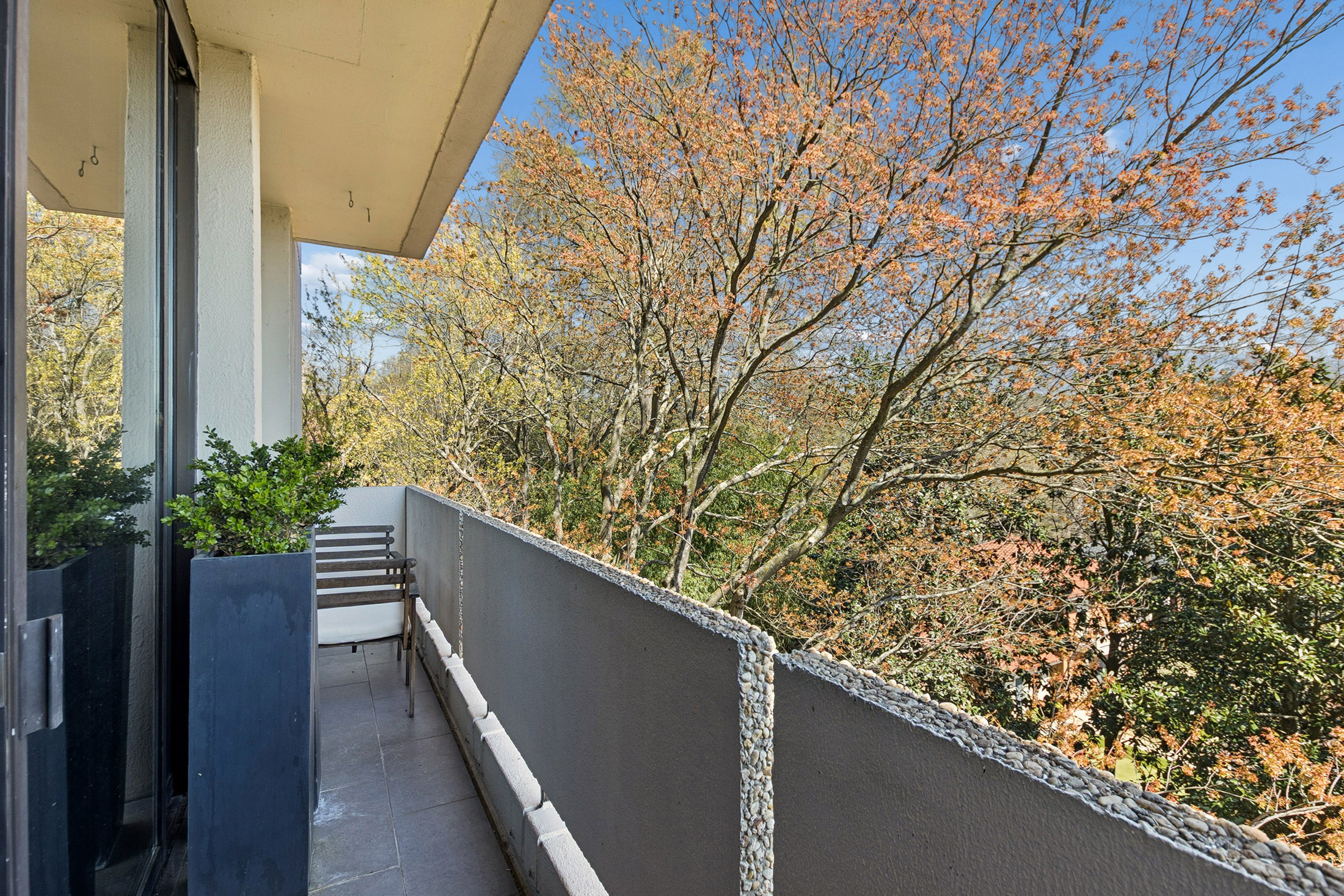  Easy Living at Plaza Towers - 物件實景