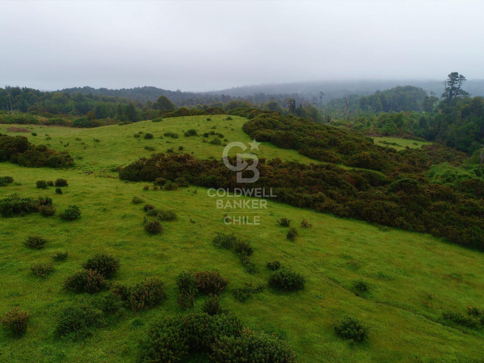 Ancud, Chile, ,Residential,For Sale,1759284