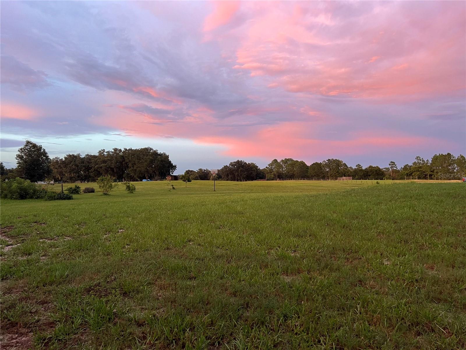 GROVELAND, Florida, 34736, United States, 5 Bedrooms Bedrooms, ,3 BathroomsBathrooms,Residential,For Sale,1707608