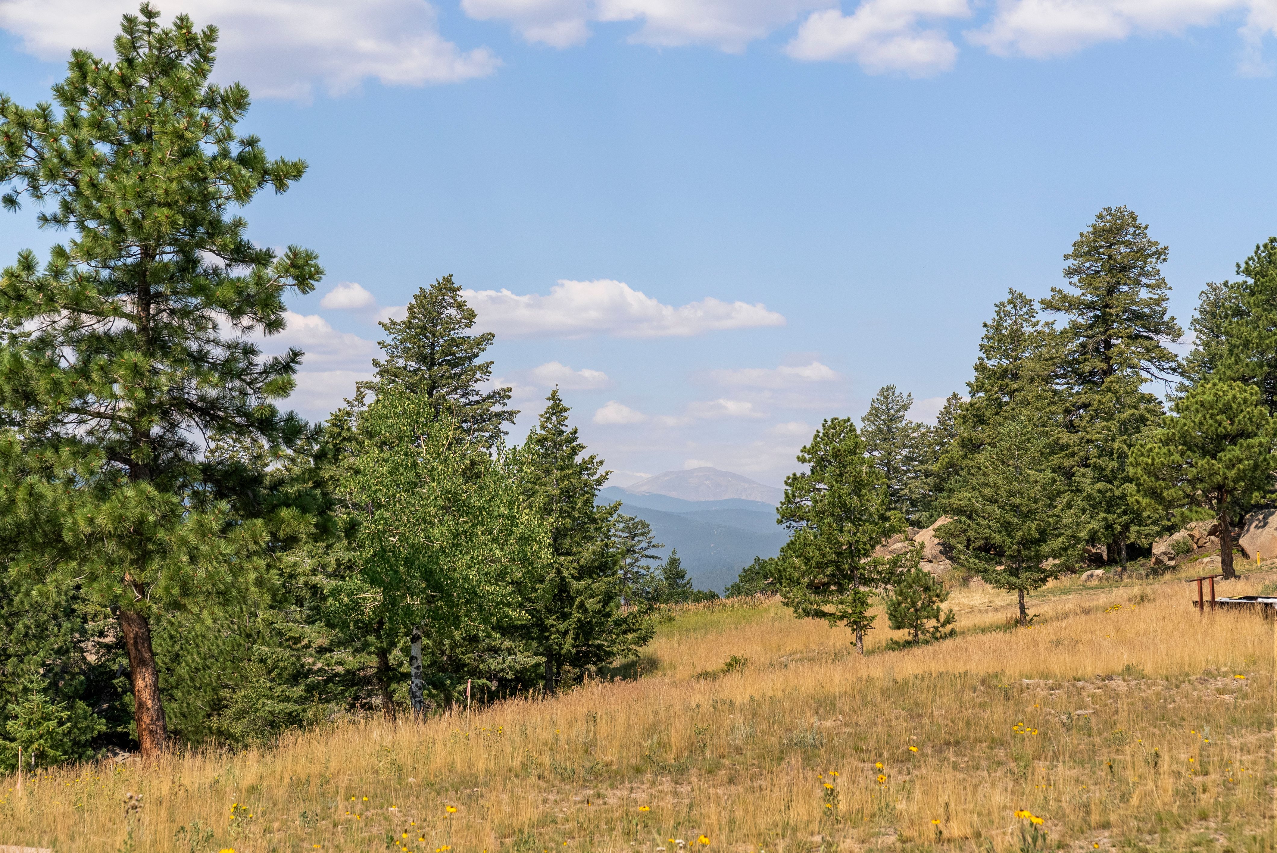  Acreage Available in Evergreen