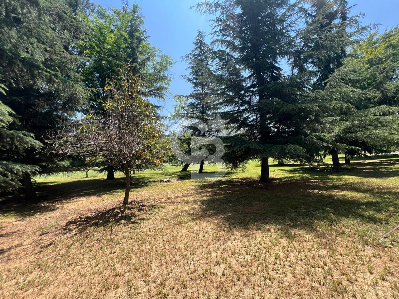 Vitacura, Chile, 3 Bedrooms Bedrooms, ,3 BathroomsBathrooms,Residential,For Sale,1991970